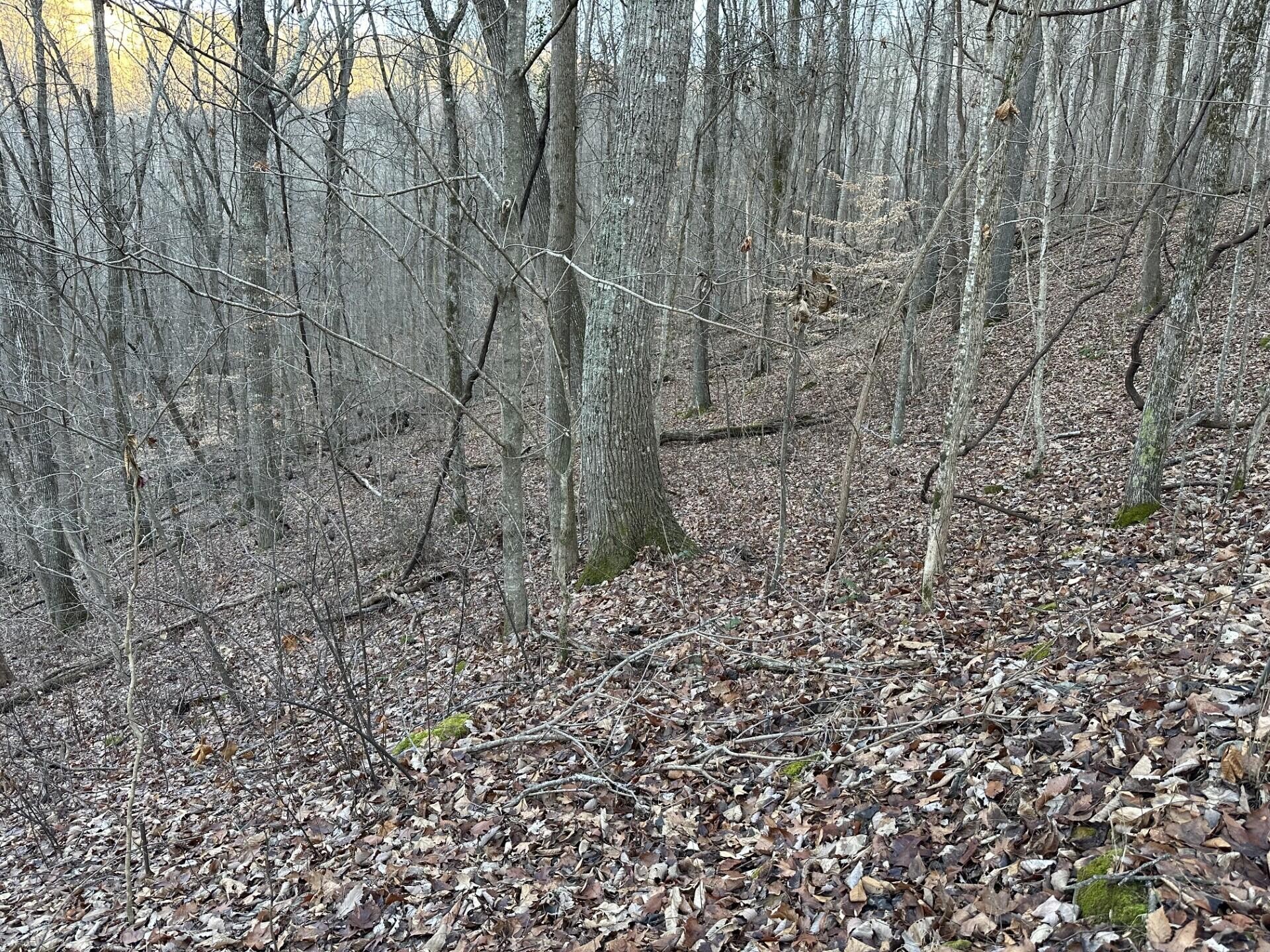 83 Stone Ridge Road Property Photo 2