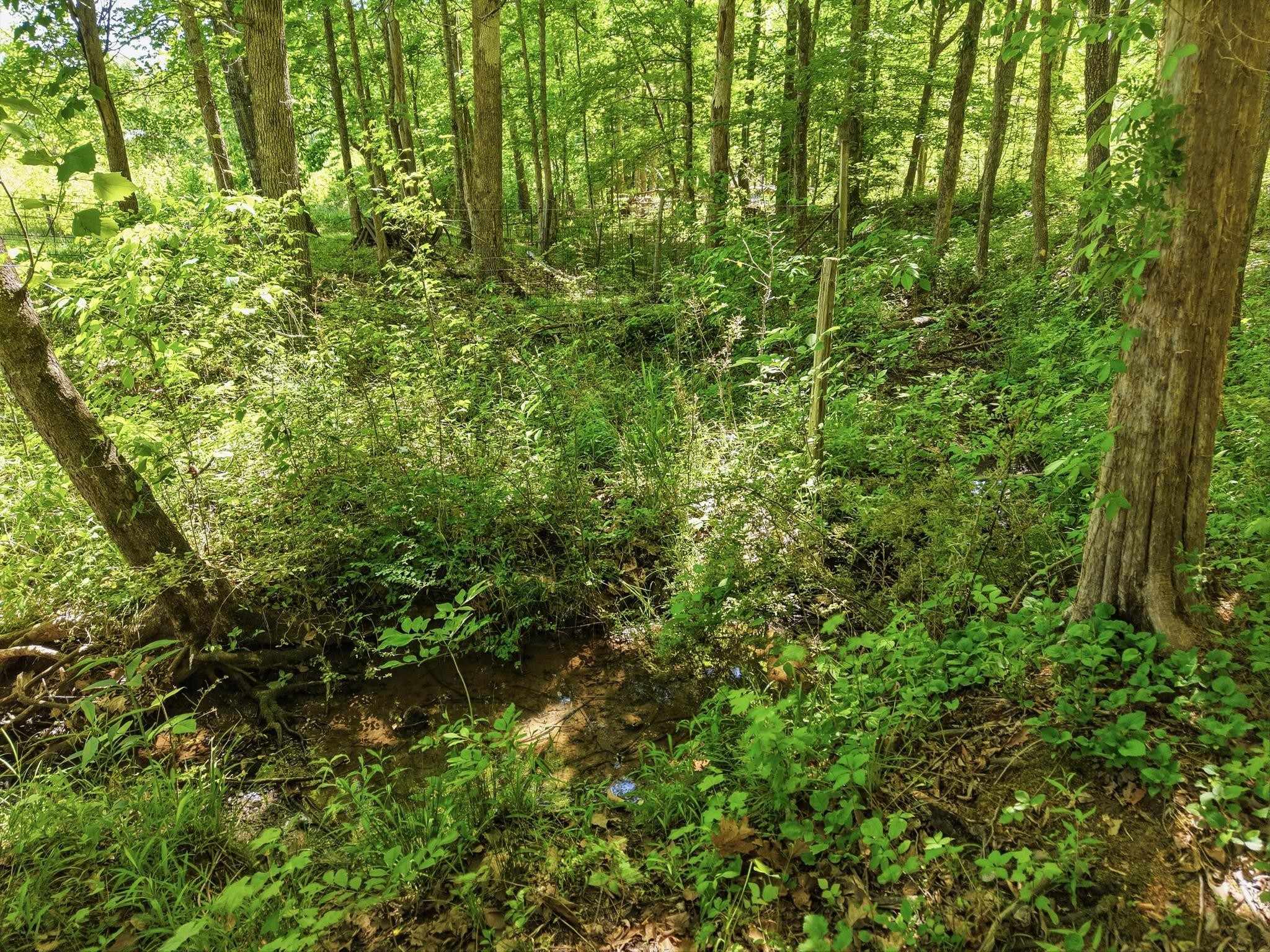 6 Falling Water Rd Property Photo 4