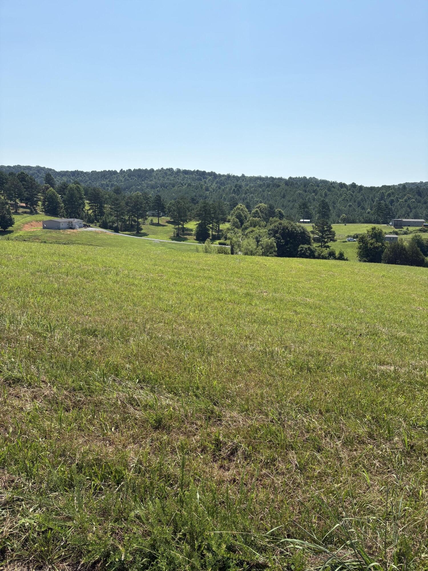 0 Goodfield Road Property Photo 1
