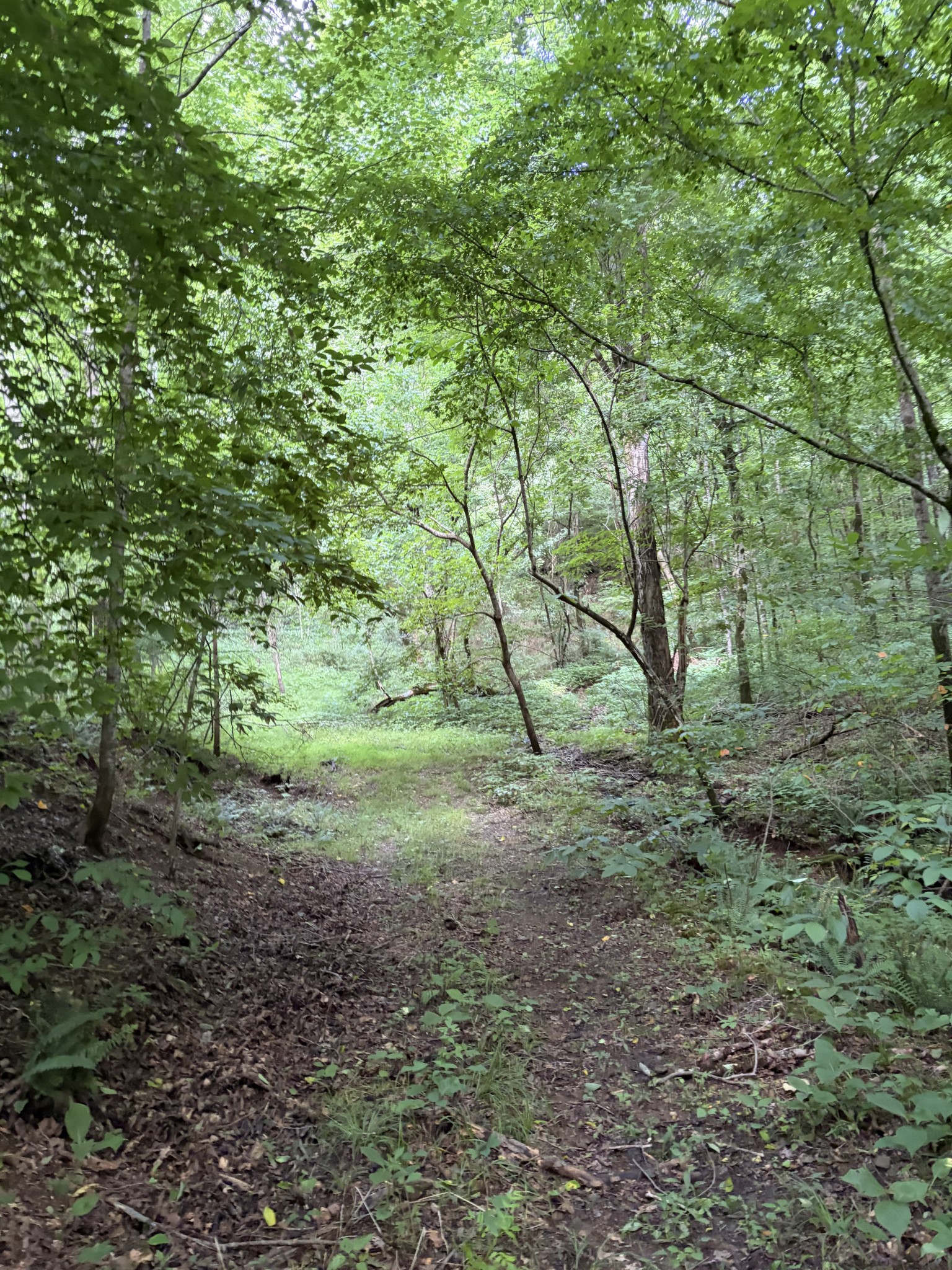 0 Kelso Smithland Road Property Photo 12