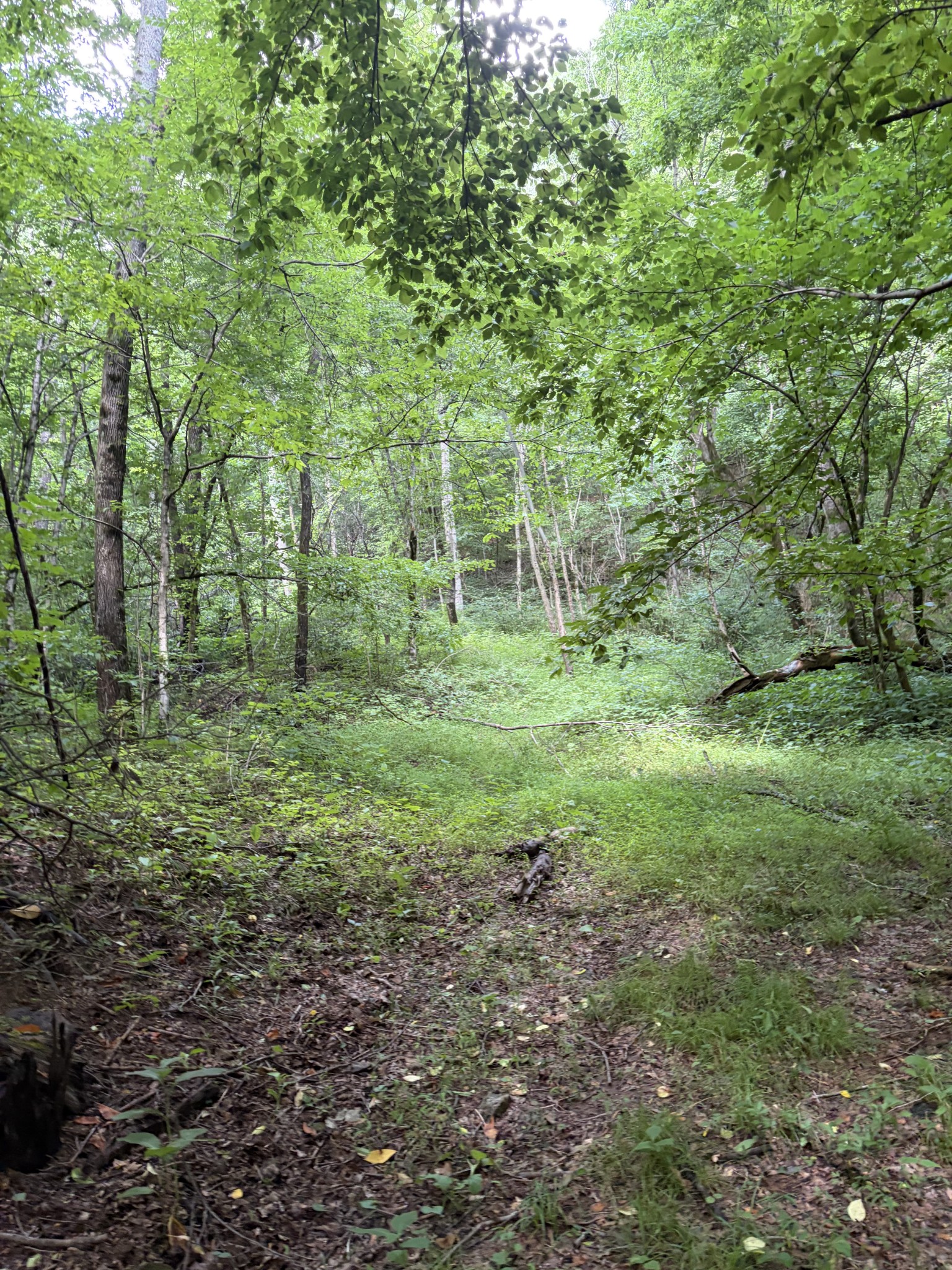 0 Kelso Smithland Road Property Photo 17