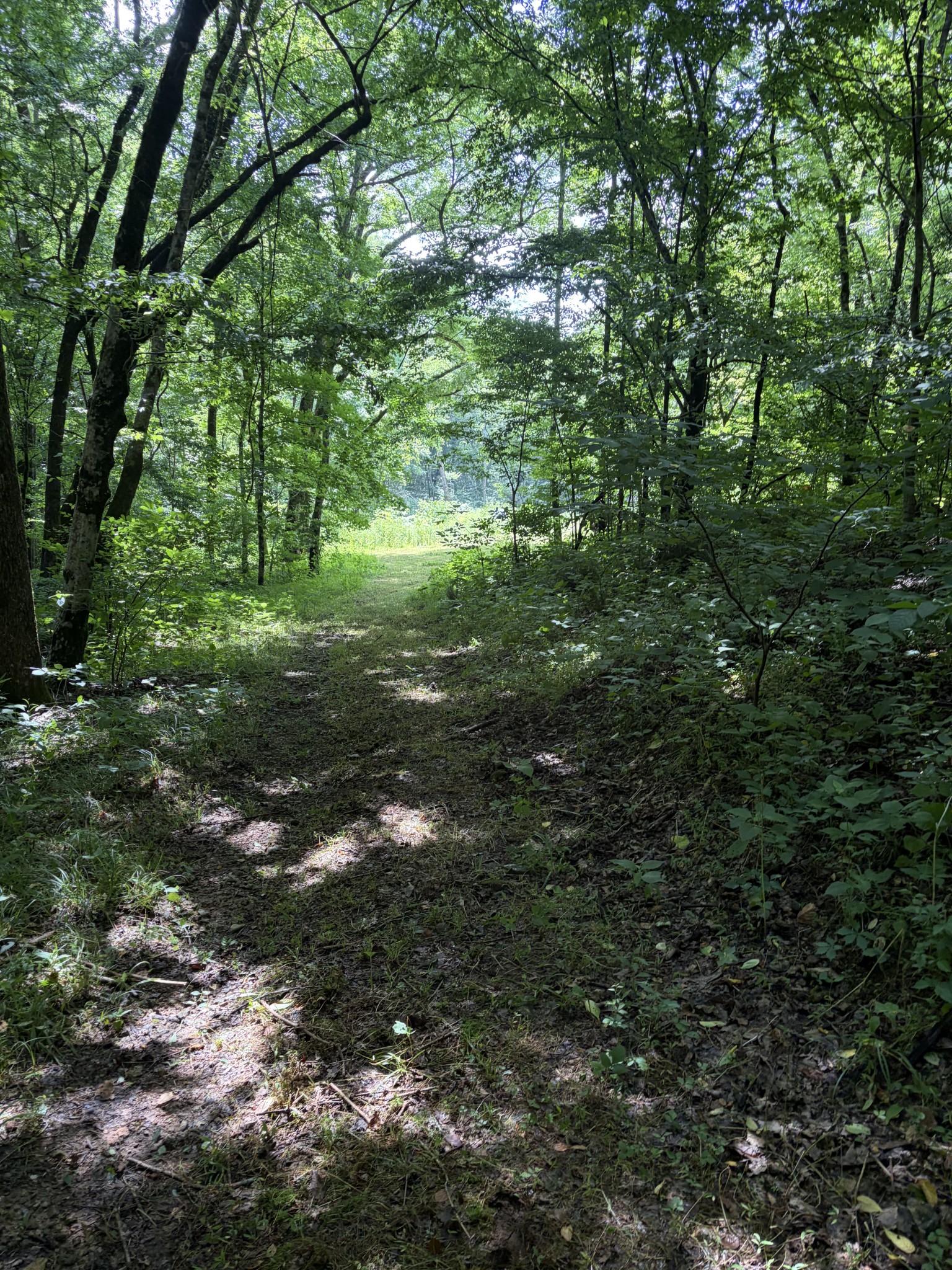 0 Kelso Smithland Road Property Photo 23