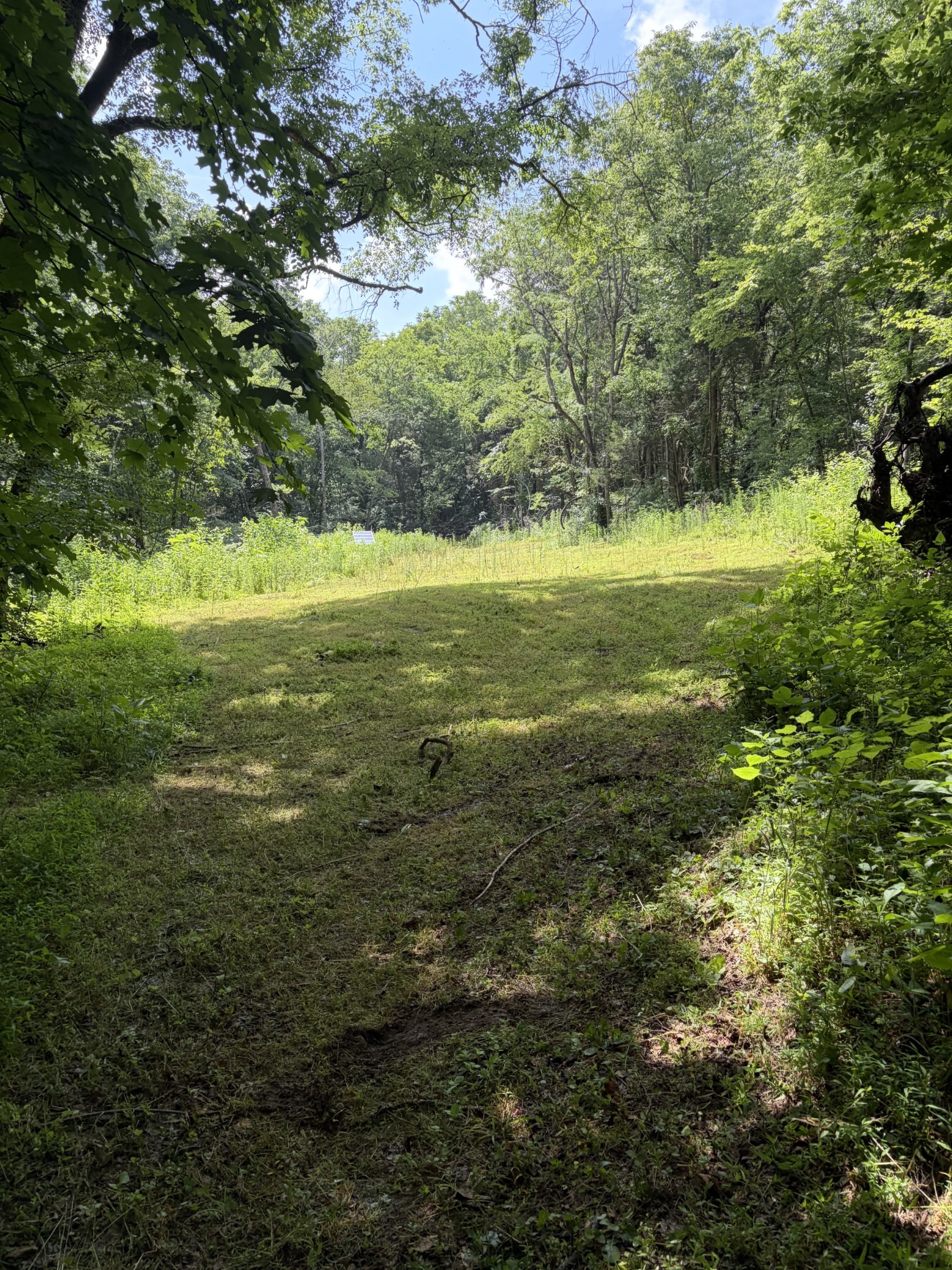 0 Kelso Smithland Road Property Photo 24