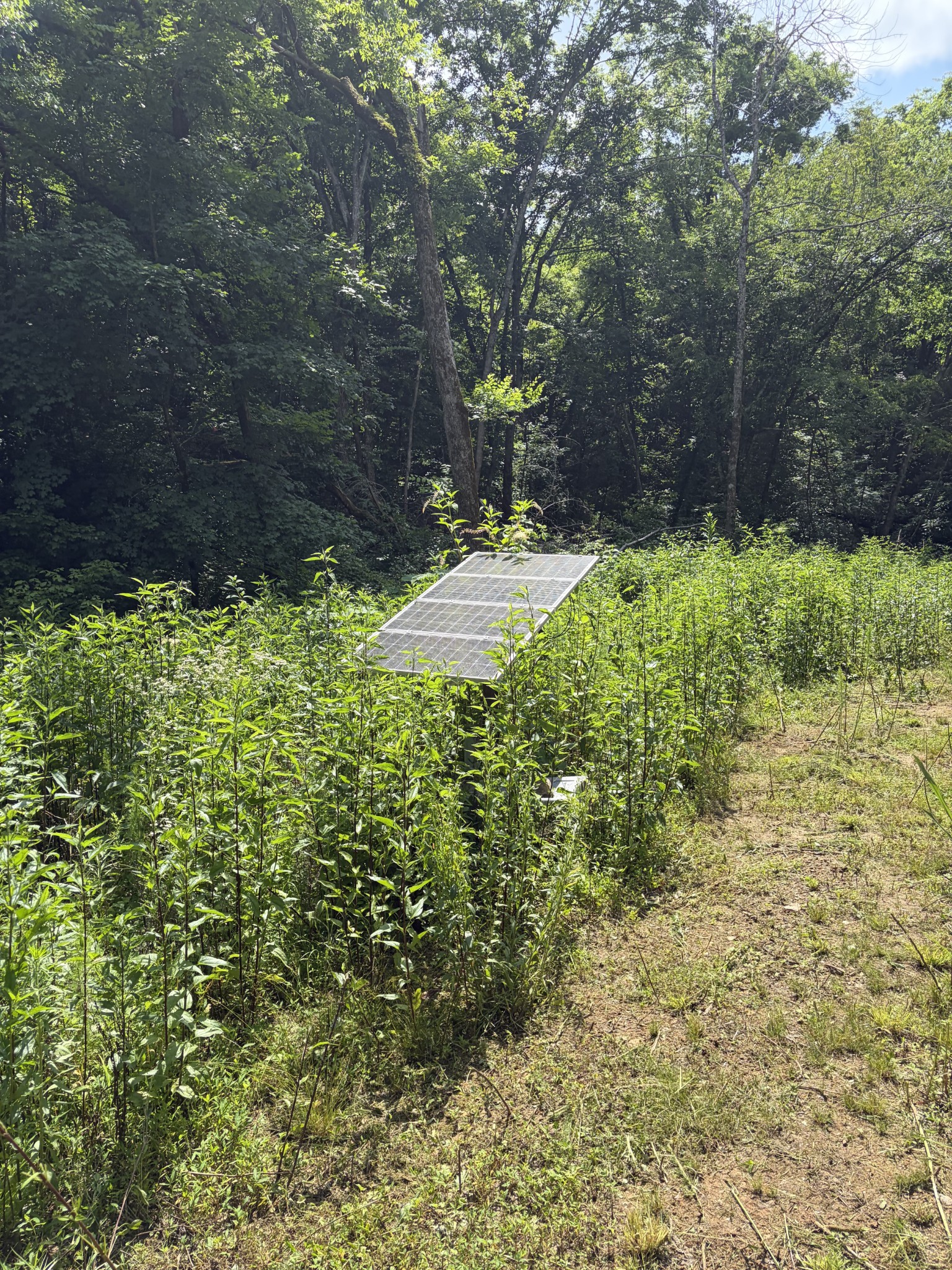 0 Kelso Smithland Road Property Photo 27