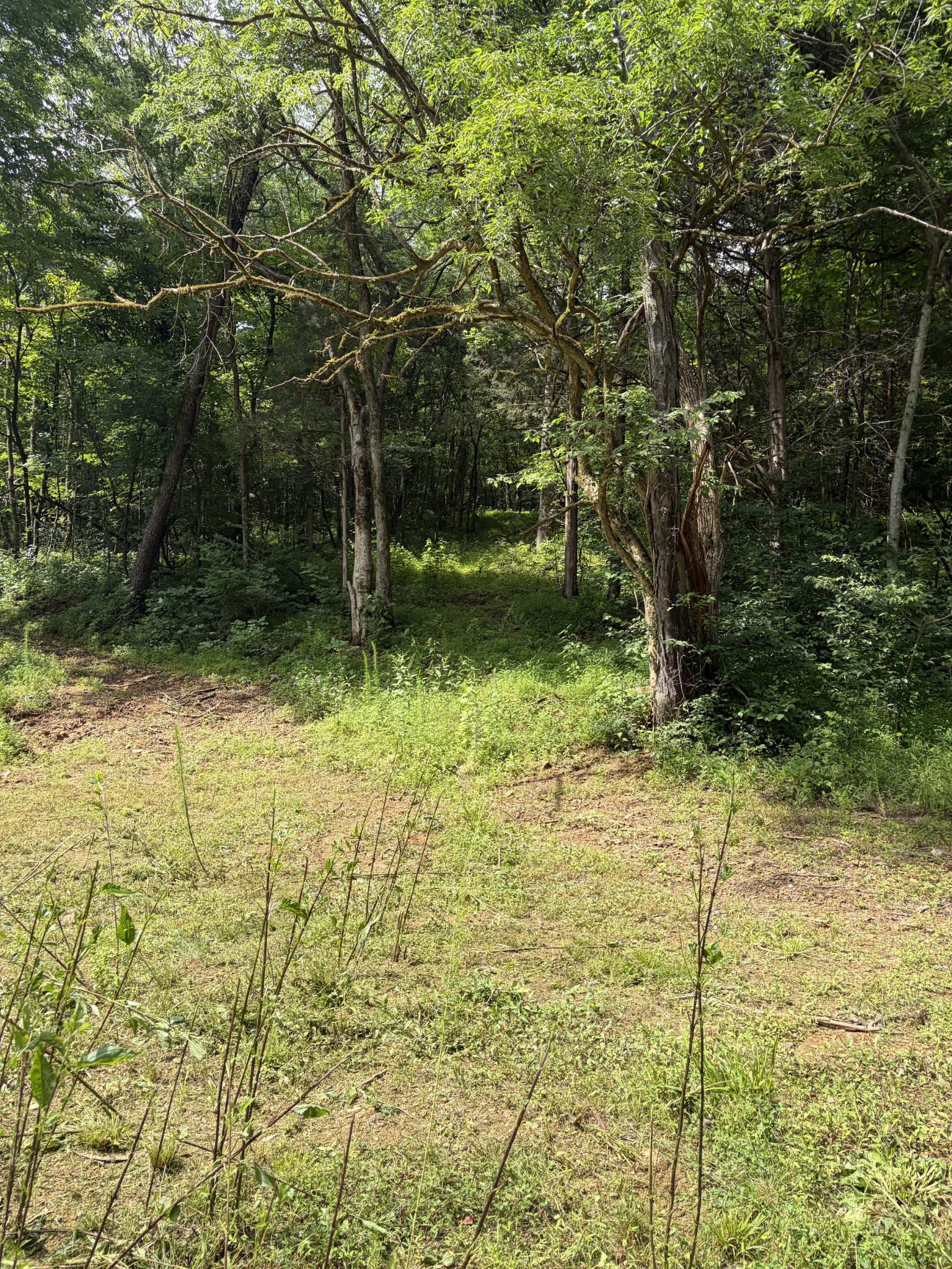 0 Kelso Smithland Road Property Photo 31