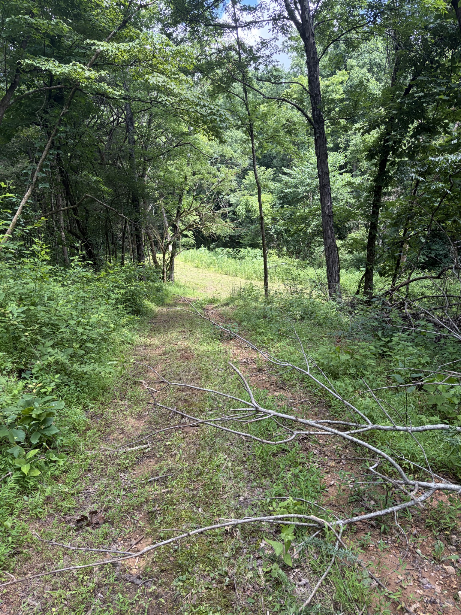 0 Kelso Smithland Road Property Photo 32