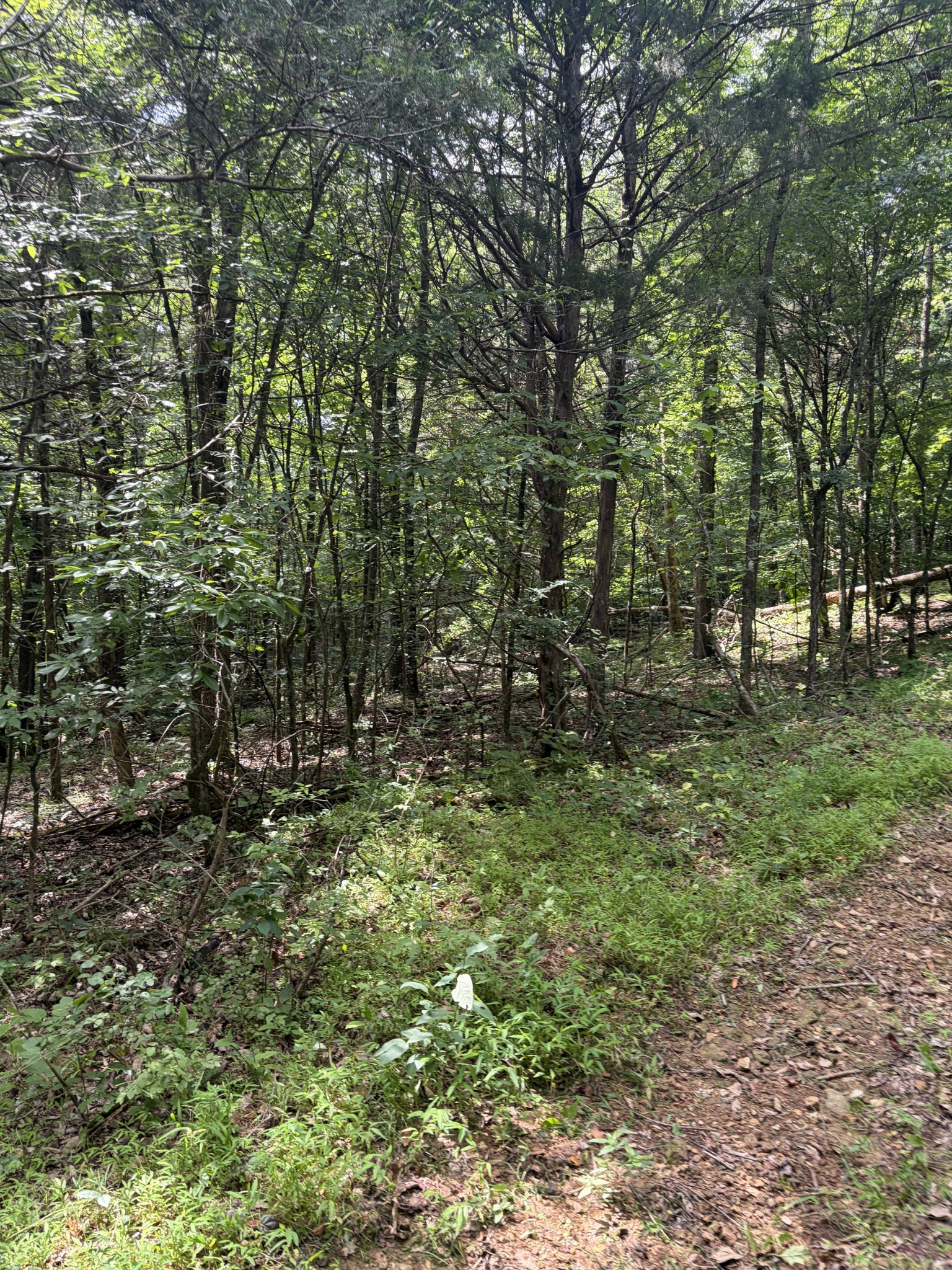 0 Kelso Smithland Road Property Photo 33