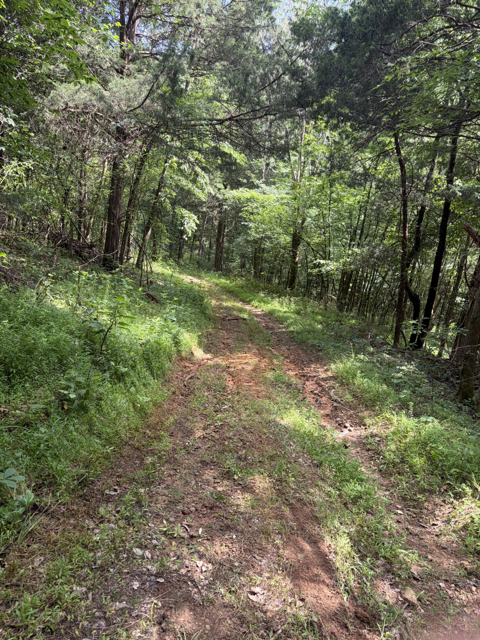 0 Kelso Smithland Road Property Photo 34