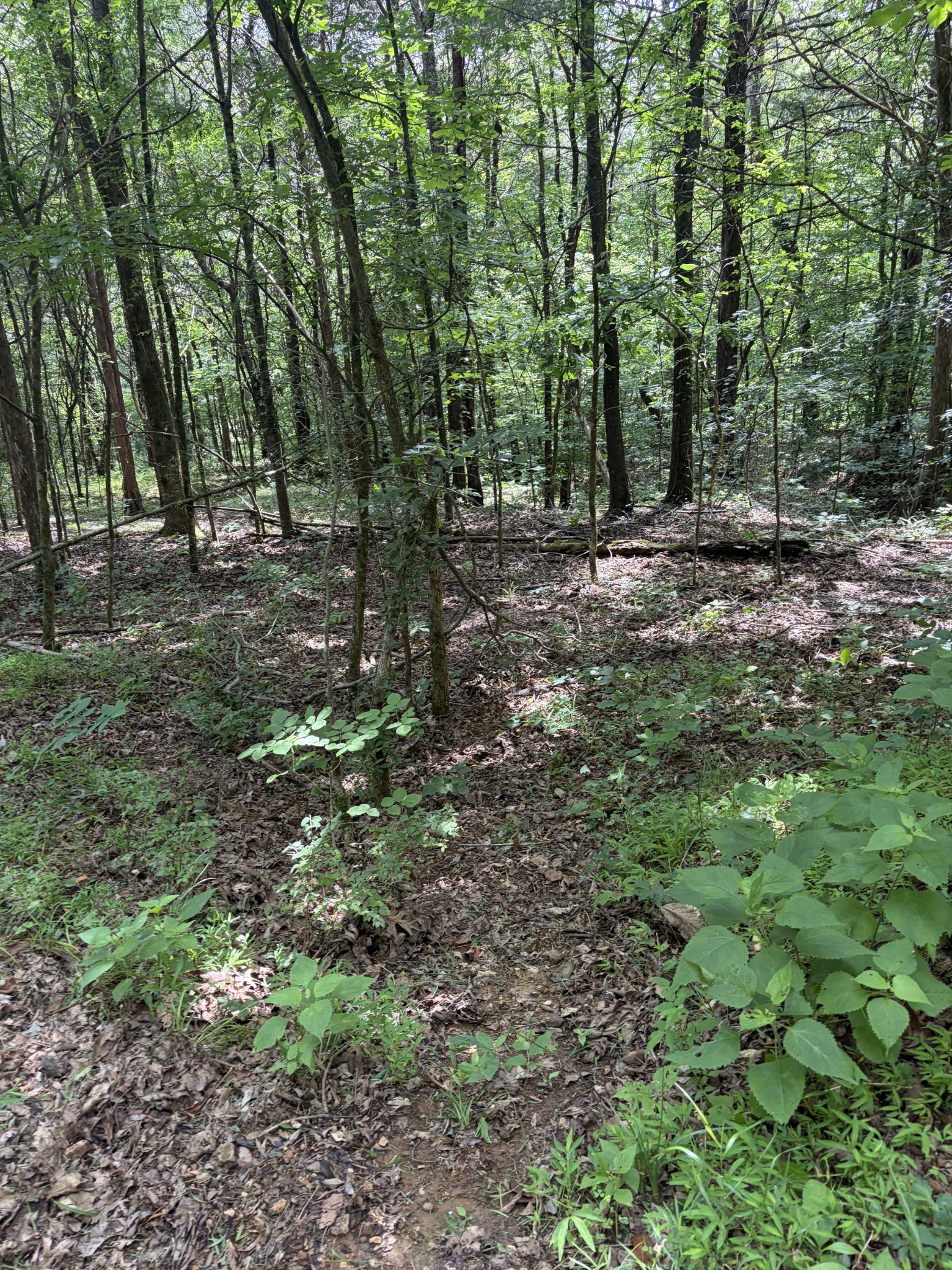 0 Kelso Smithland Road Property Photo 36