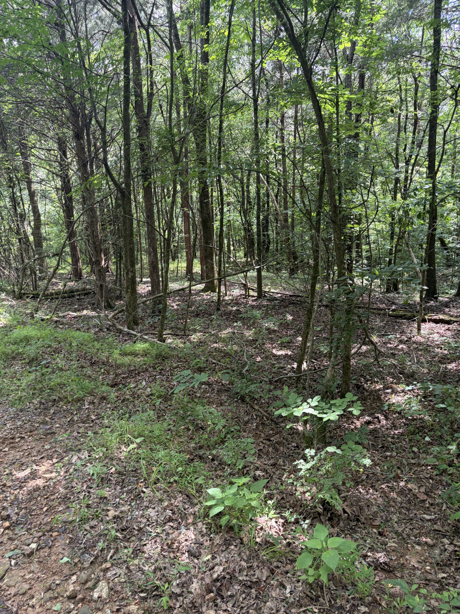 0 Kelso Smithland Road Property Photo 38