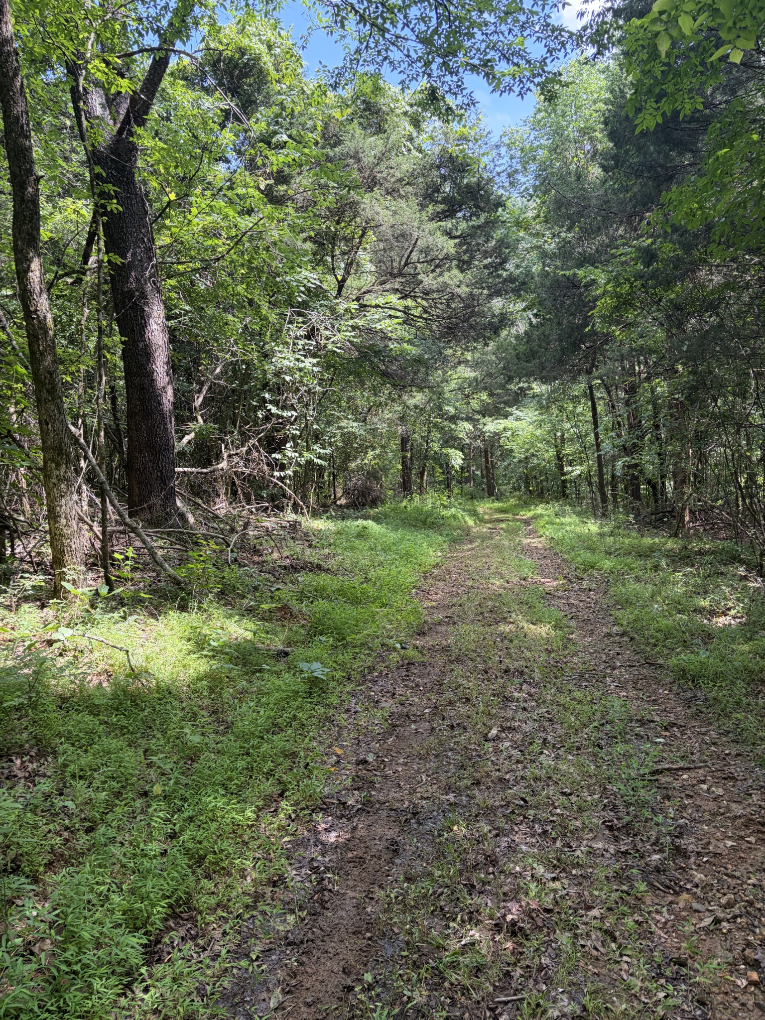 0 Kelso Smithland Road Property Photo 39