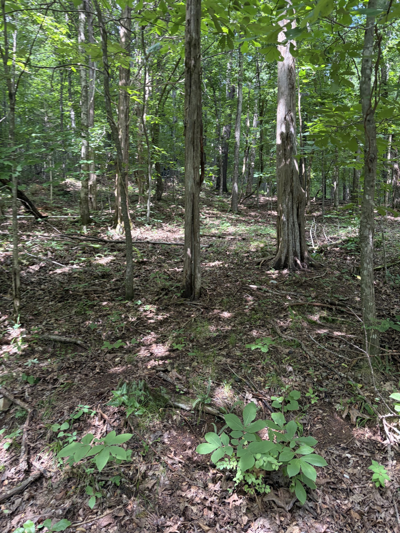 0 Kelso Smithland Road Property Photo 41