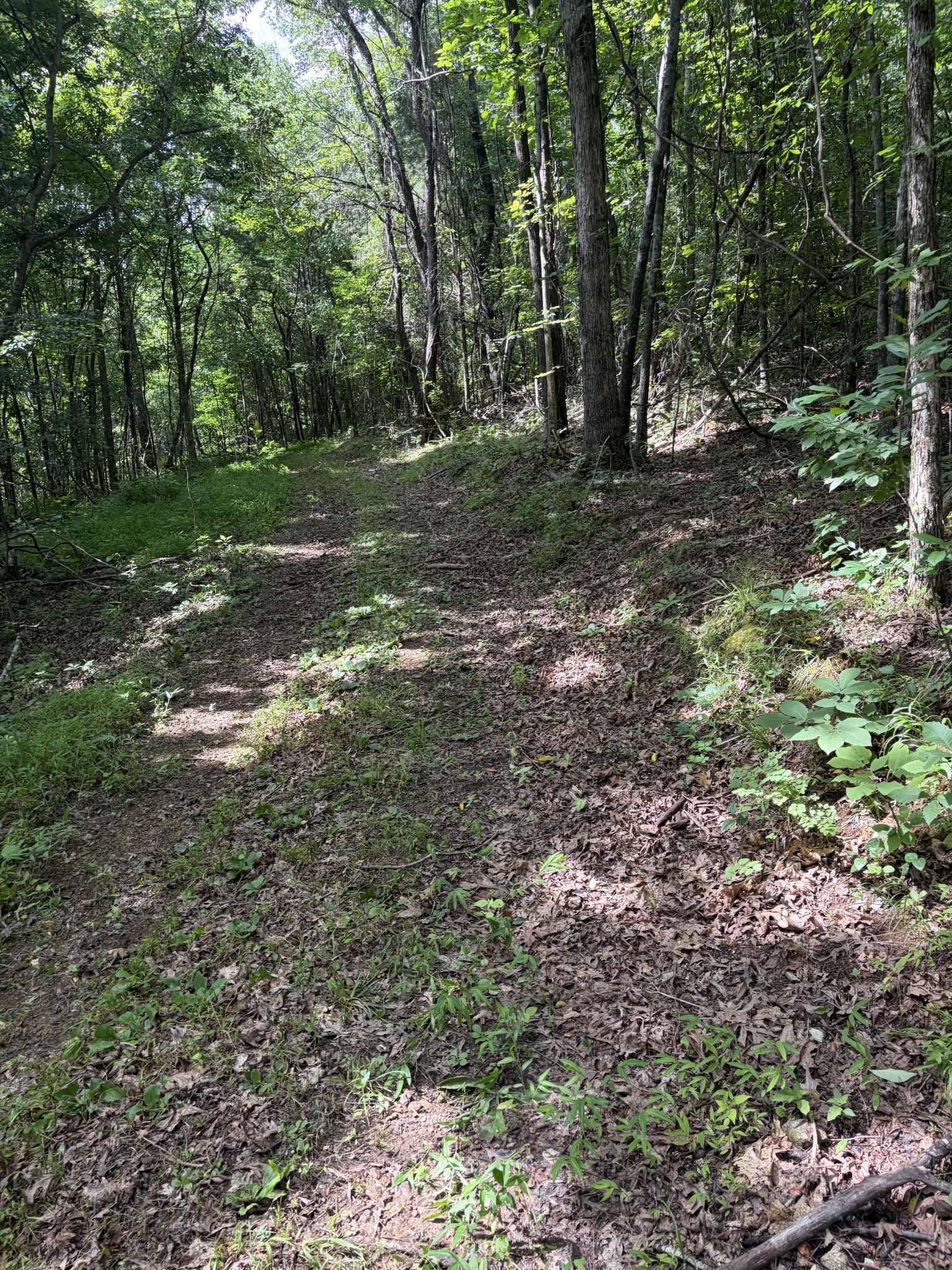 0 Kelso Smithland Road Property Photo 43