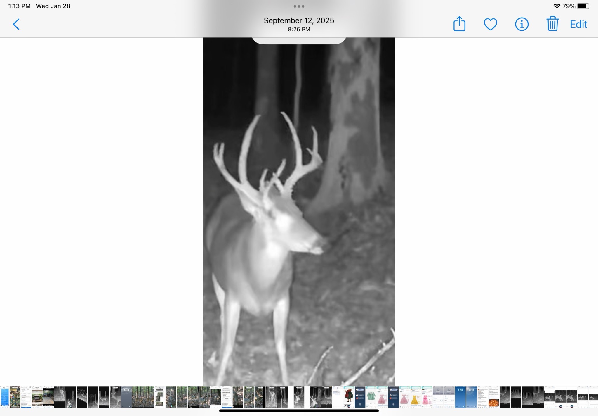 0 Kelso Smithland Road Property Photo 46