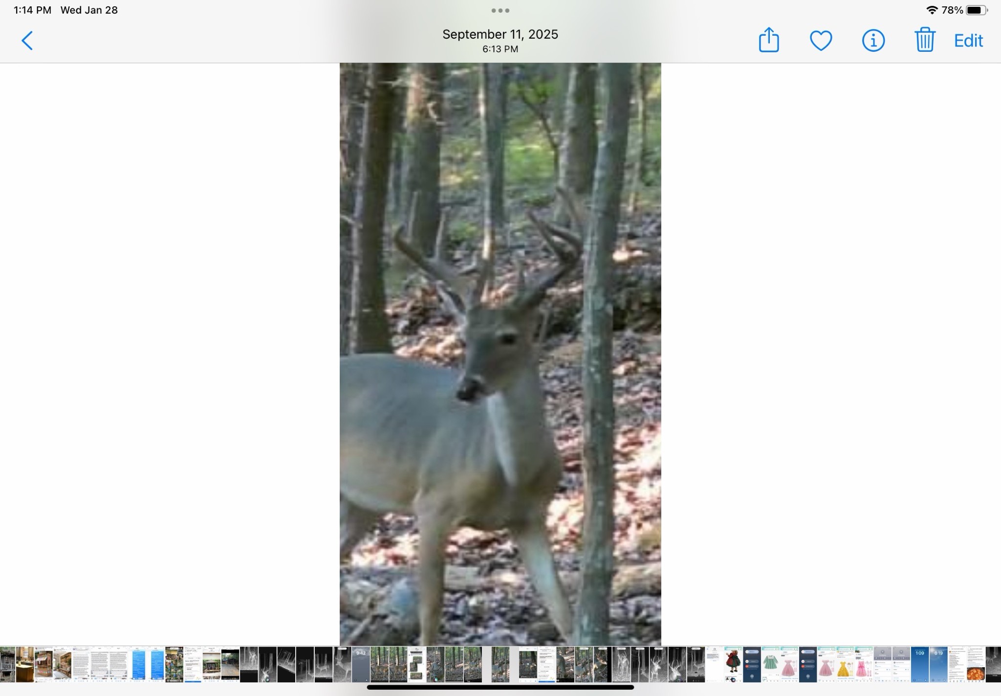 0 Kelso Smithland Road Property Photo 47