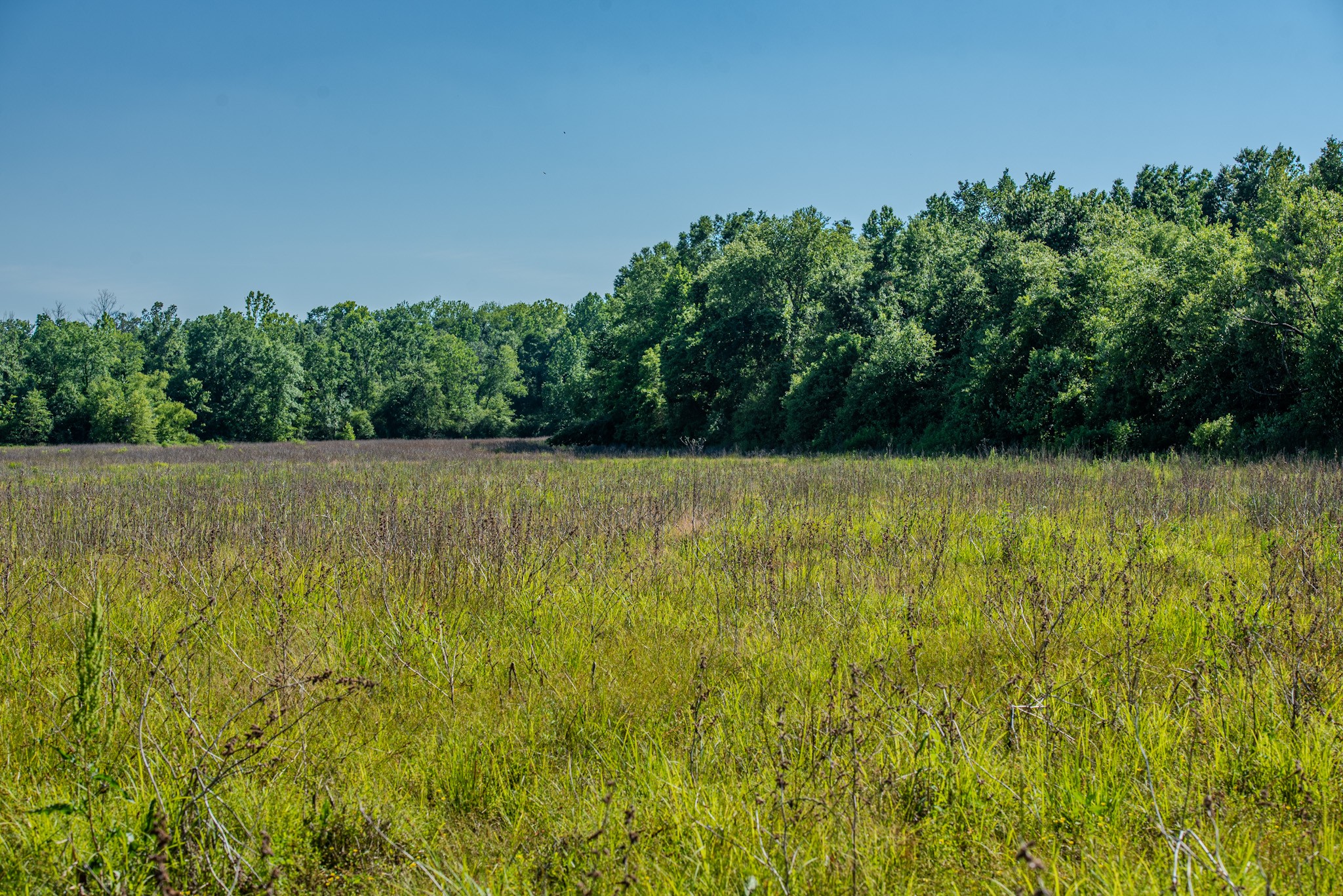23620 Highway 69 Property Photo 6