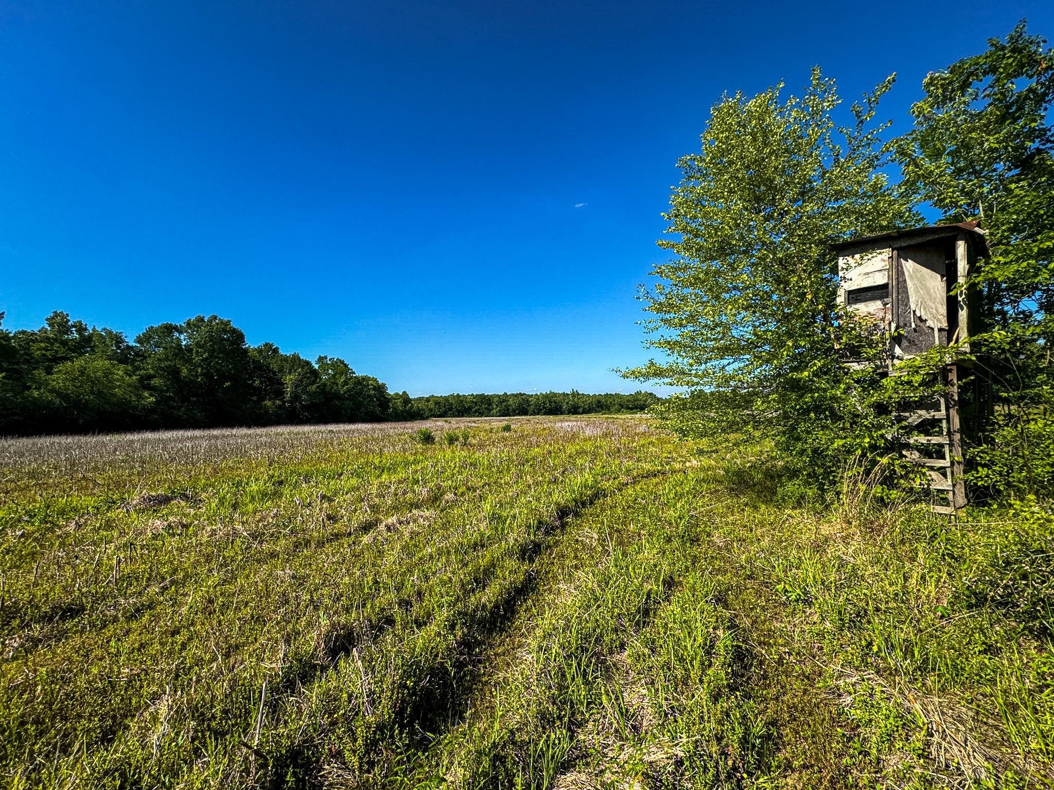 23620 Highway 69 Property Photo 8