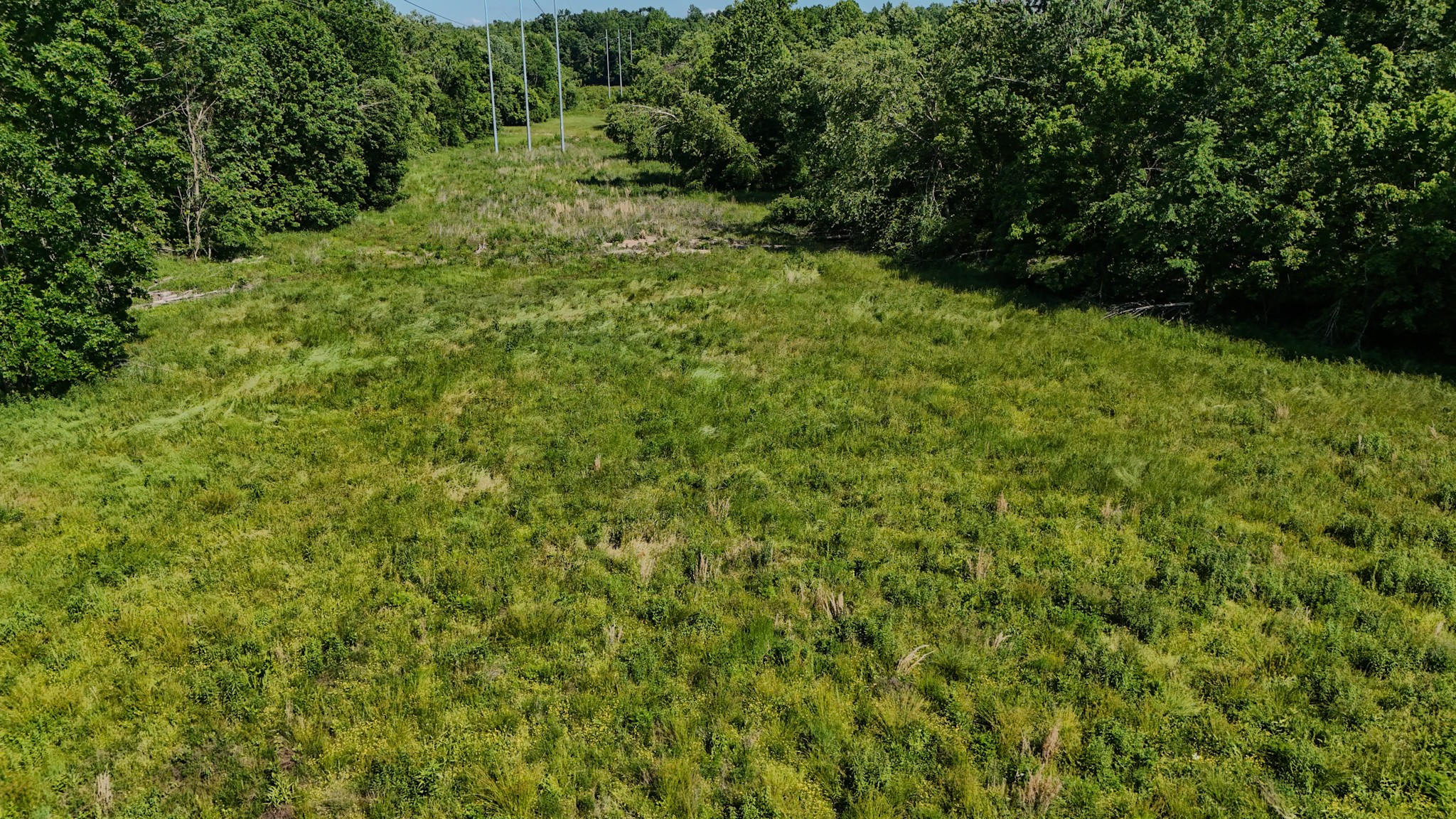 23620 Highway 69 Property Photo 10