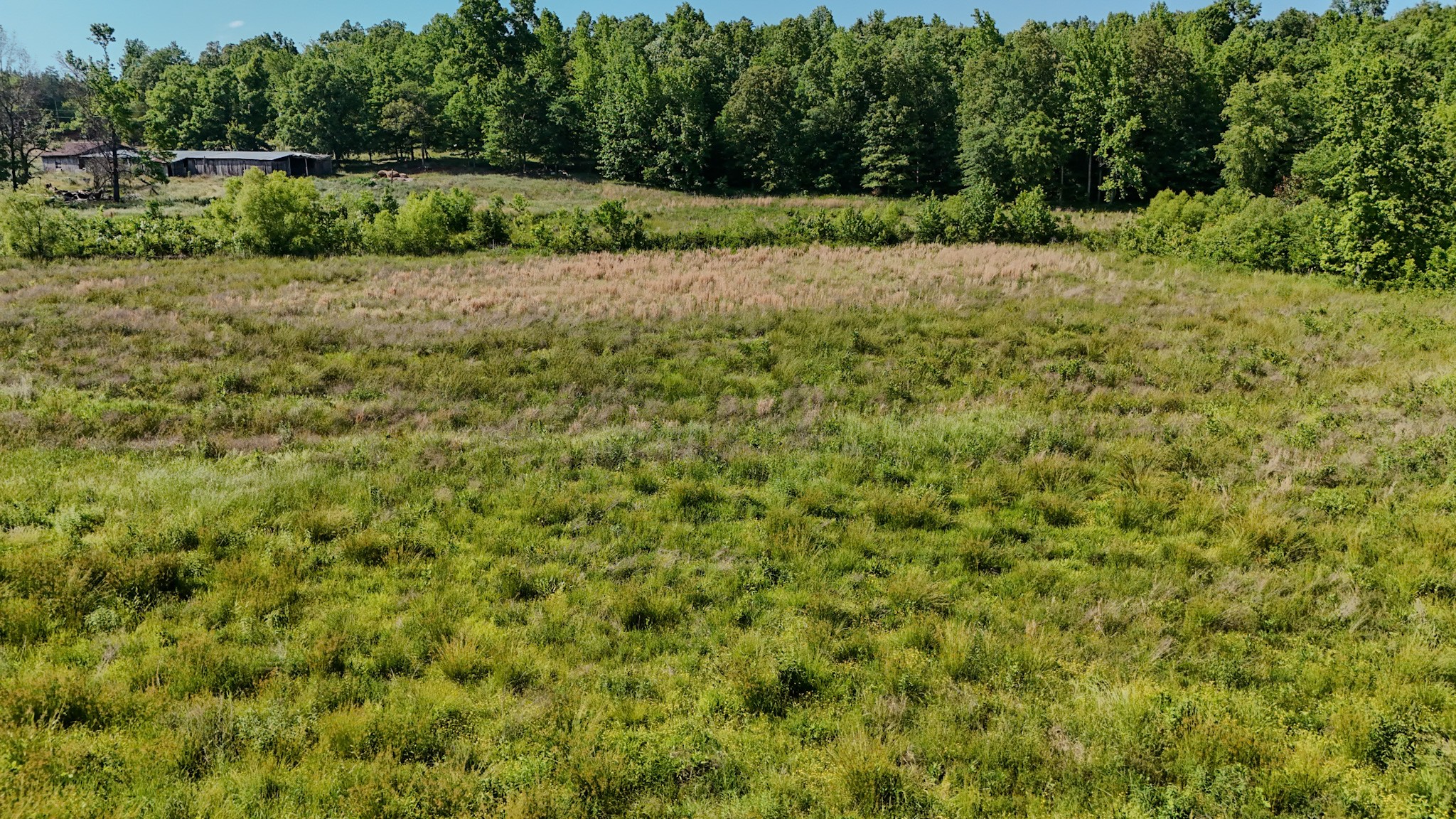 23620 Highway 69 Property Photo 11