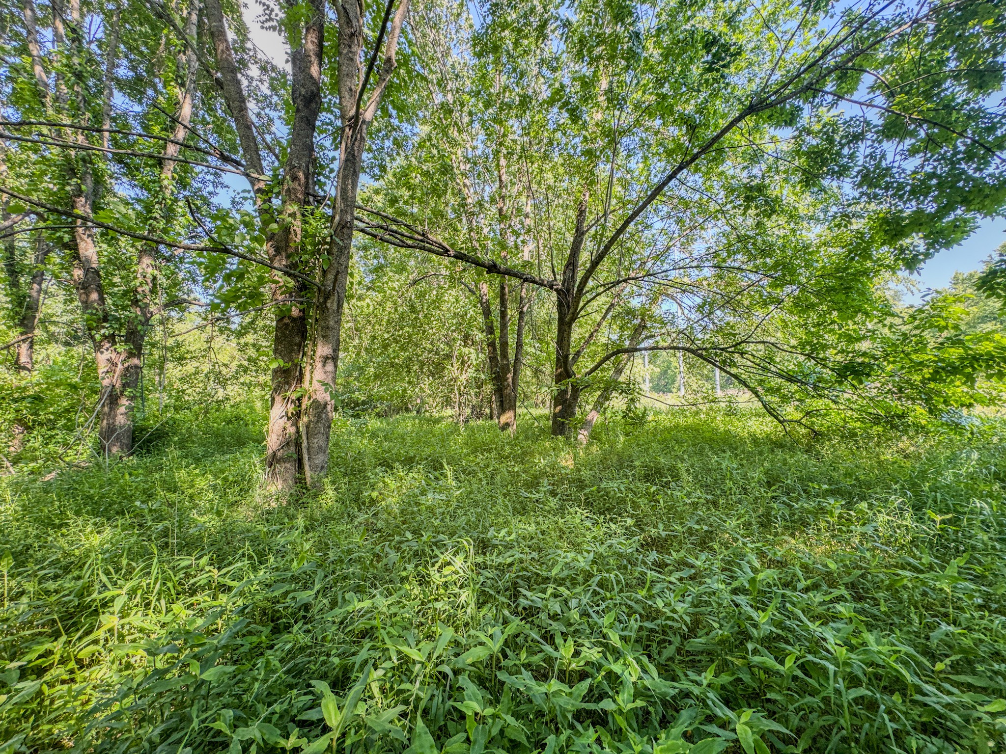 23620 Highway 69 Property Photo 12