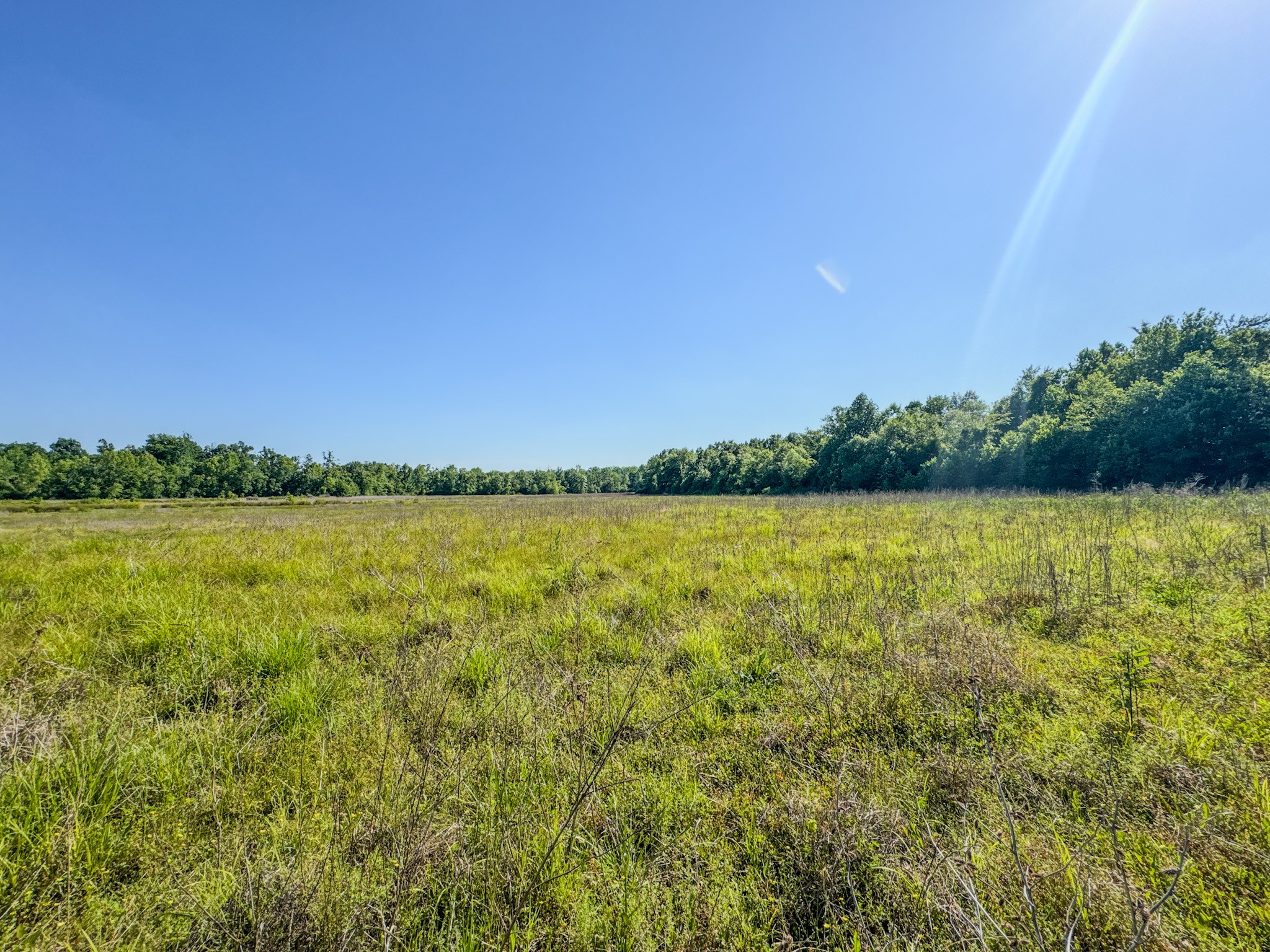 23620 Highway 69 Property Photo 13