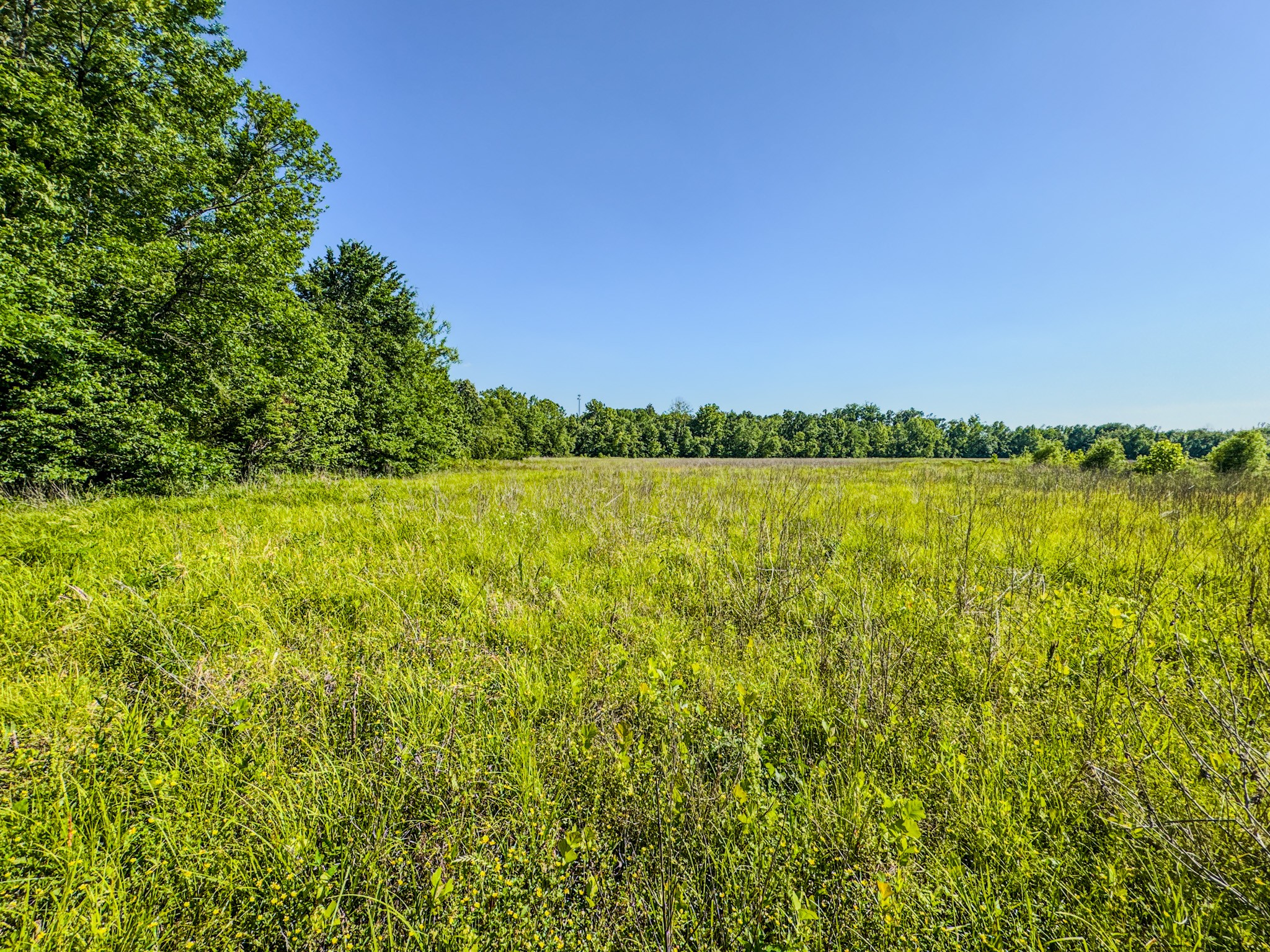 23620 Highway 69 Property Photo 21
