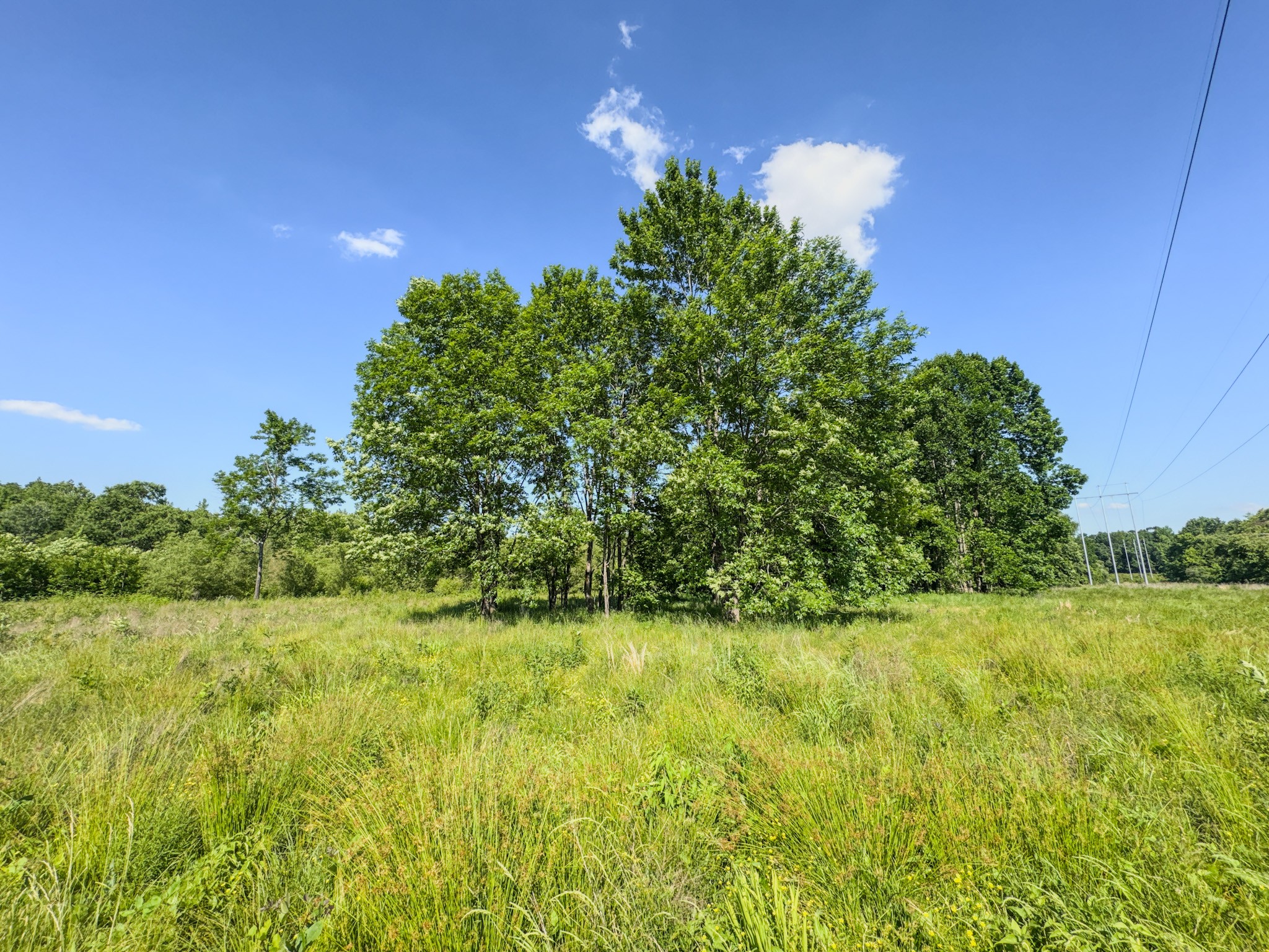 23620 Highway 69 Property Photo 23