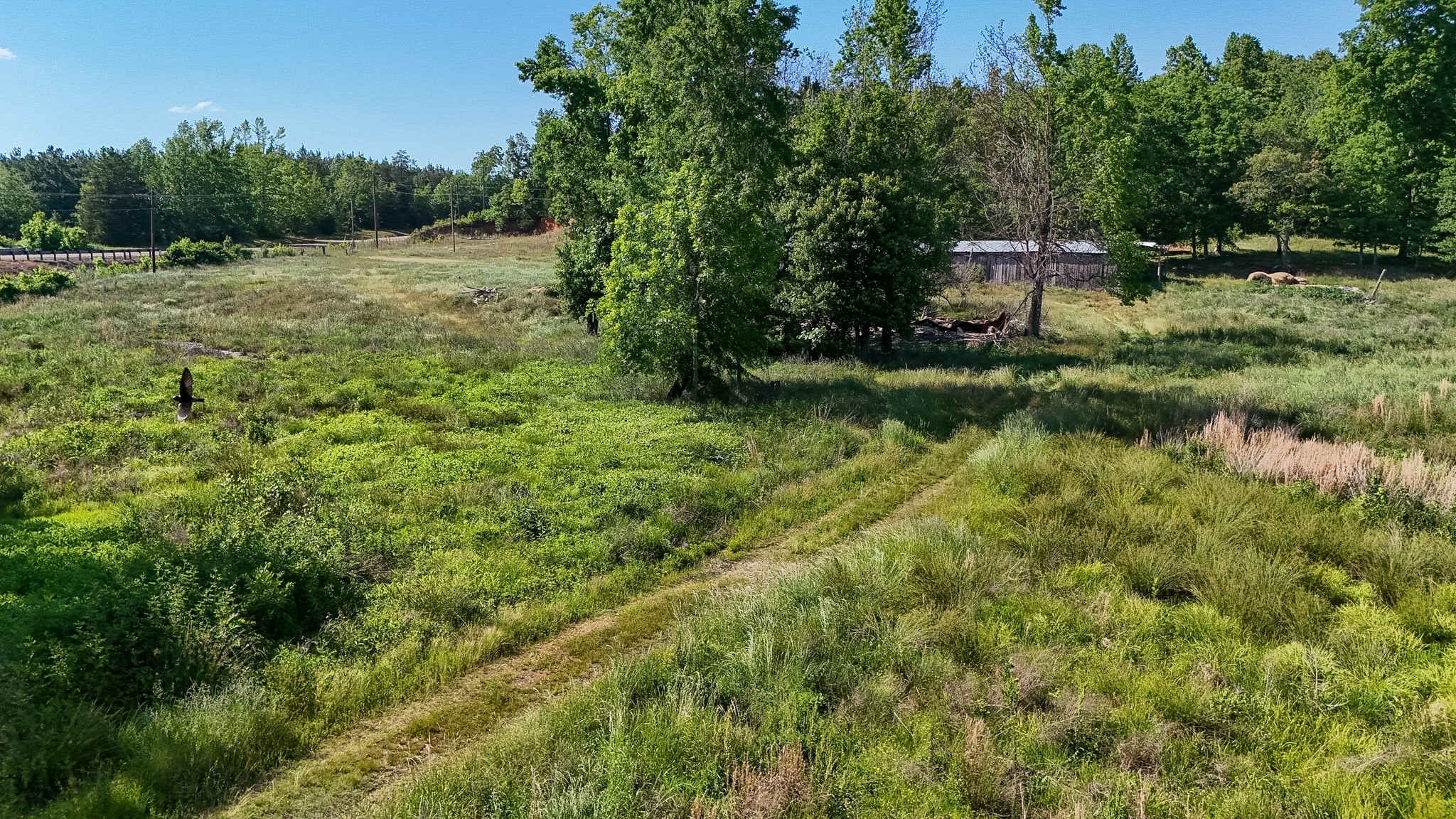 23620 Highway 69 Property Photo 27
