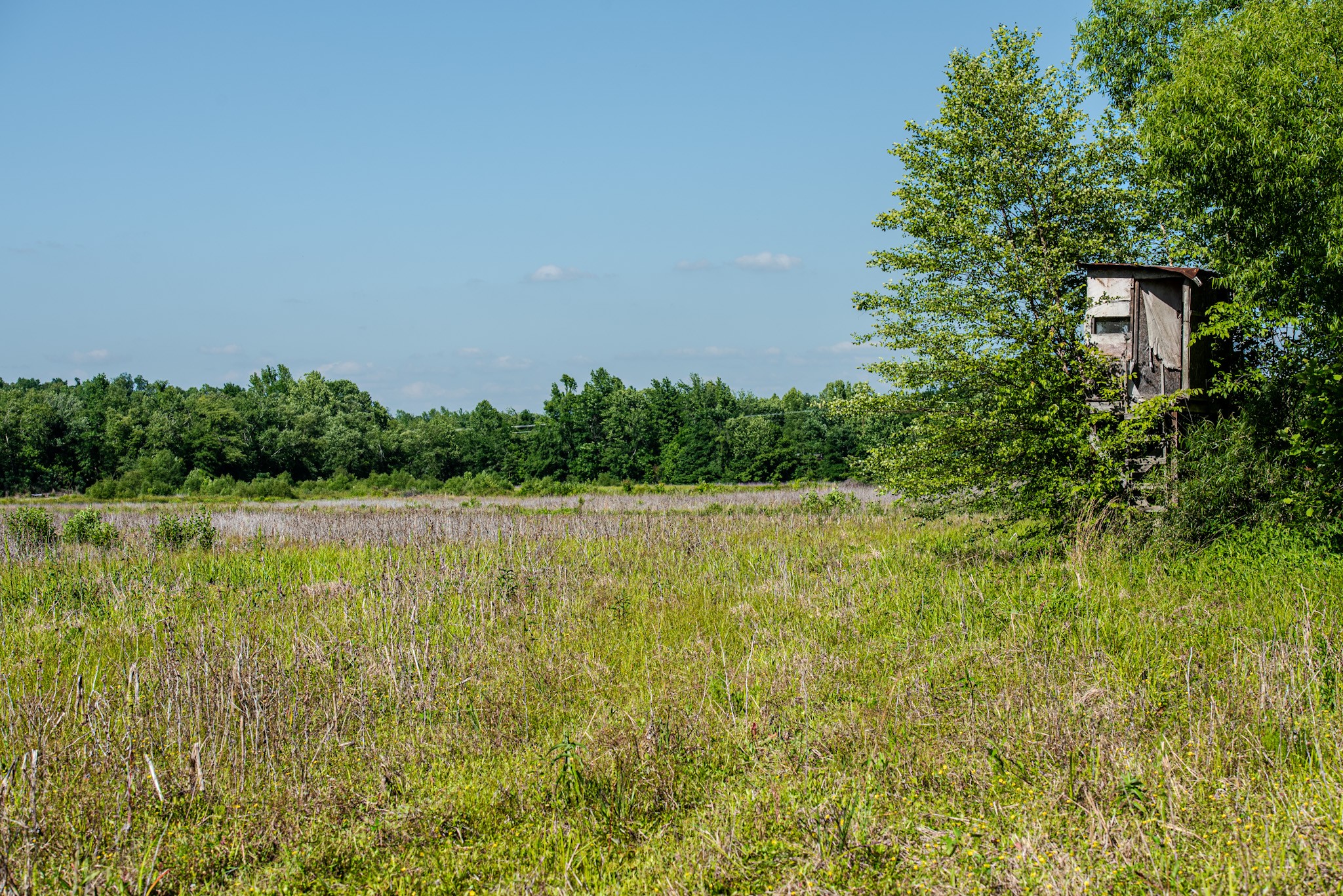 23620 Highway 69 Property Photo 35