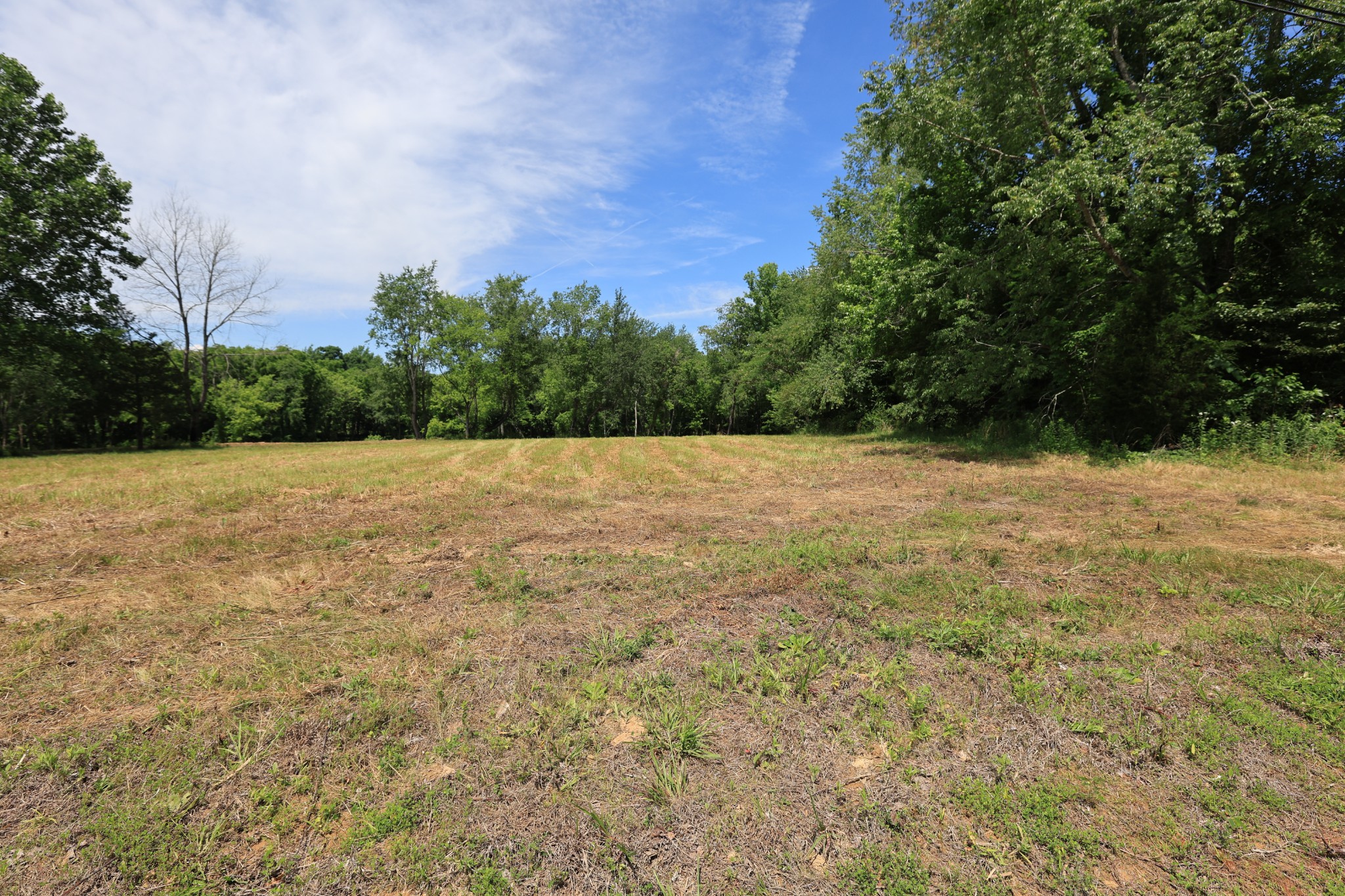 5 Poplar Ridge Ln Property Photo 2