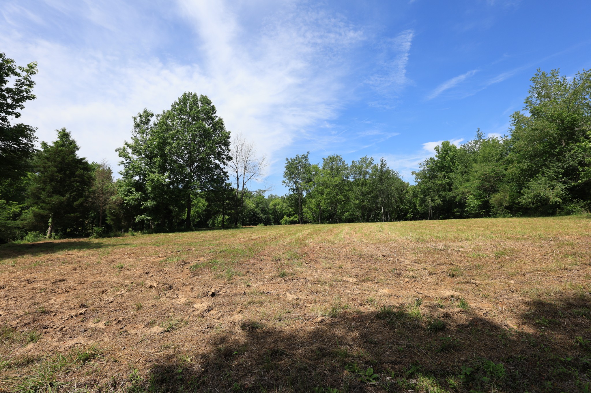 5 Poplar Ridge Ln Property Photo 4