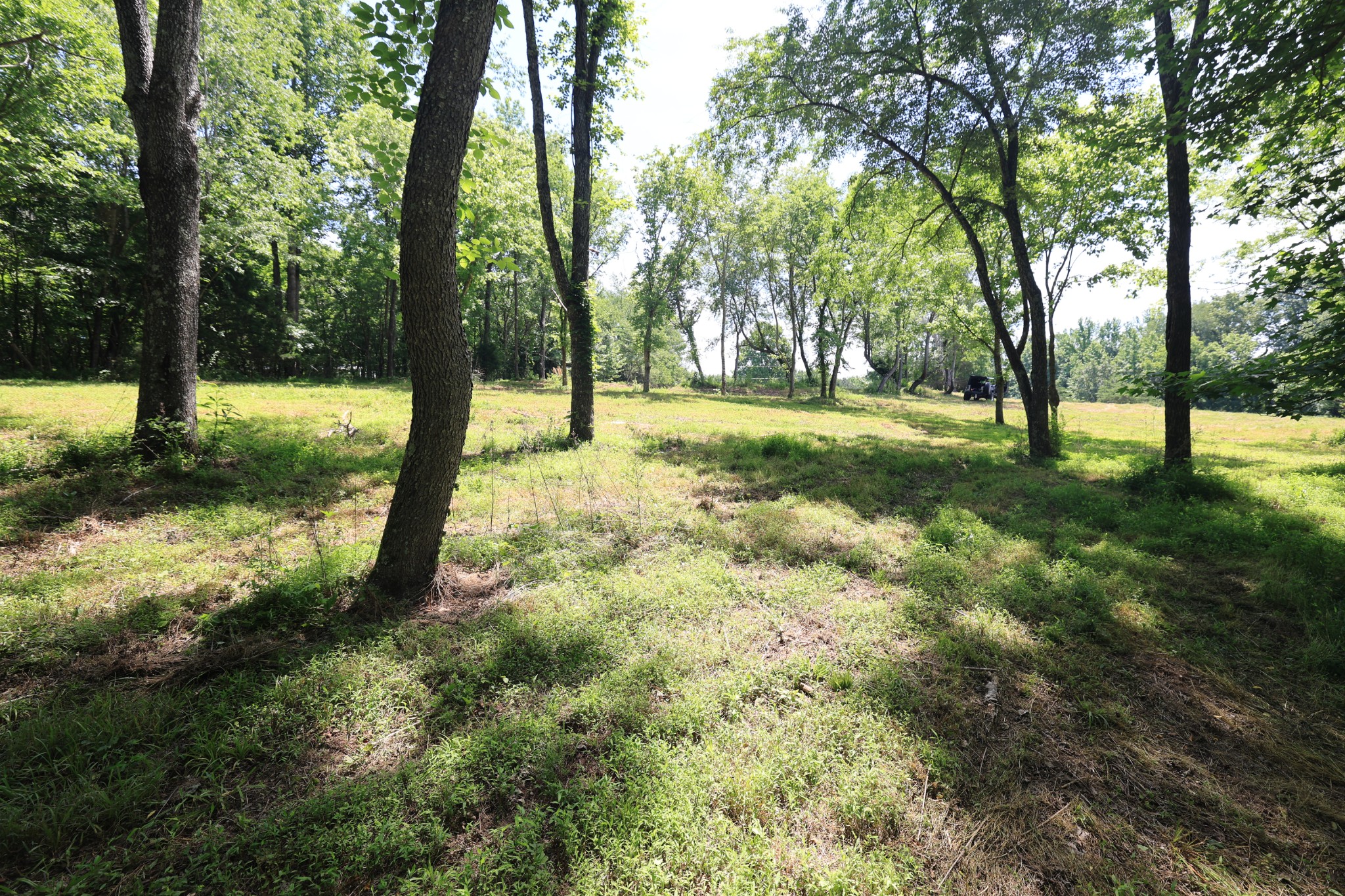 5 Poplar Ridge Ln Property Photo 5