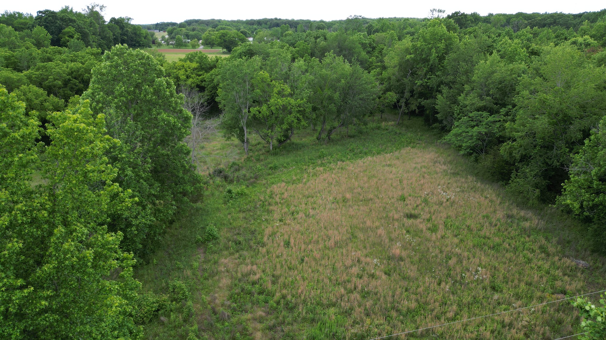 5 Poplar Ridge Ln Property Photo 6