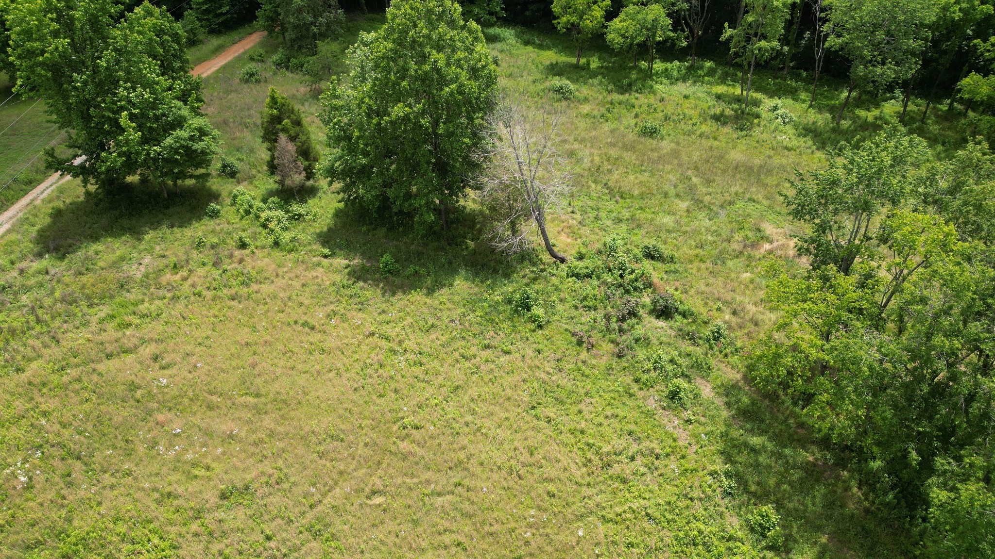 5 Poplar Ridge Ln Property Photo 7
