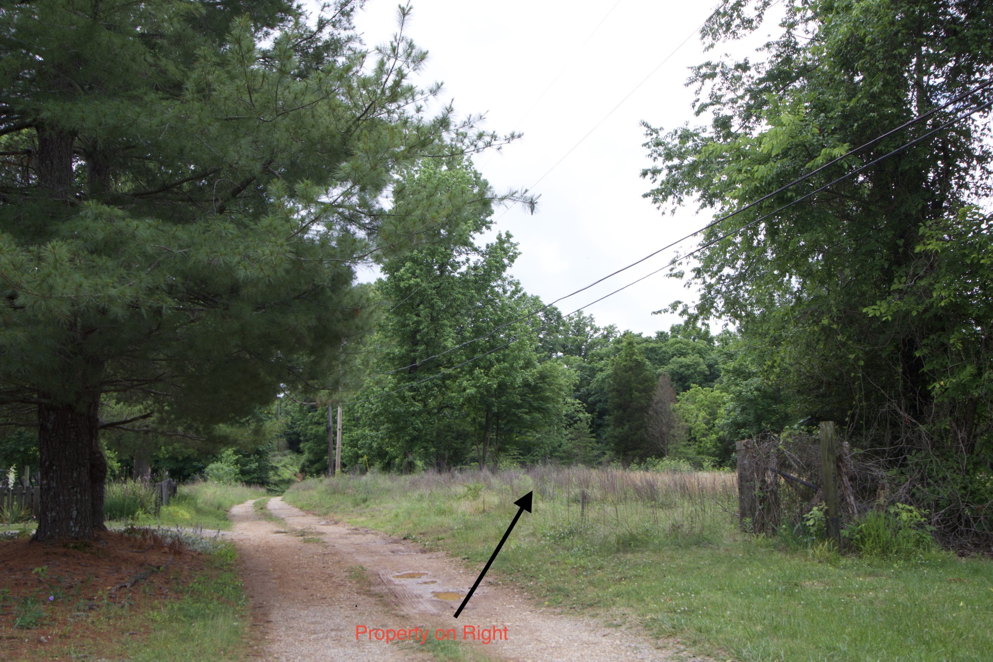 5 Poplar Ridge Ln Property Photo 10