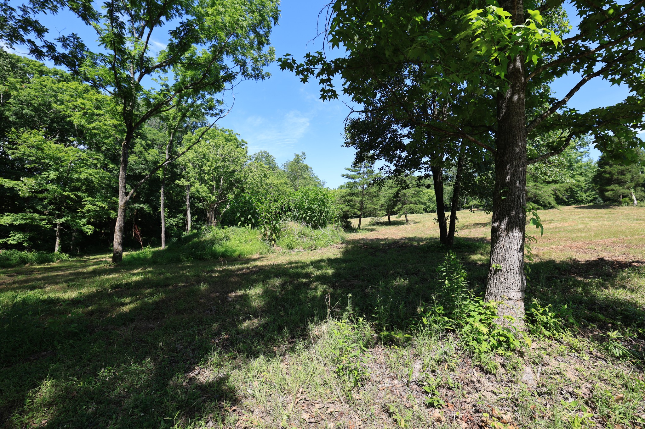 5 Poplar Ridge Ln Property Photo 11