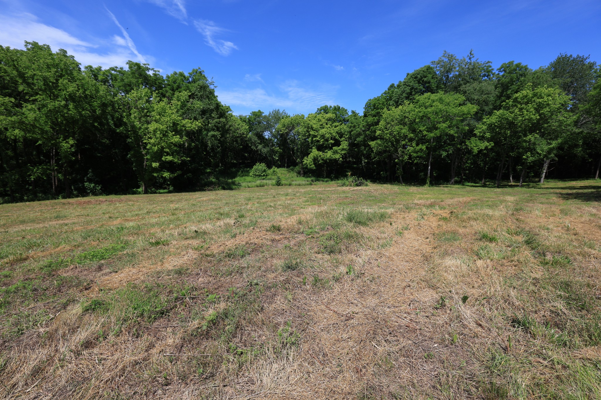 5 Poplar Ridge Ln Property Photo 13
