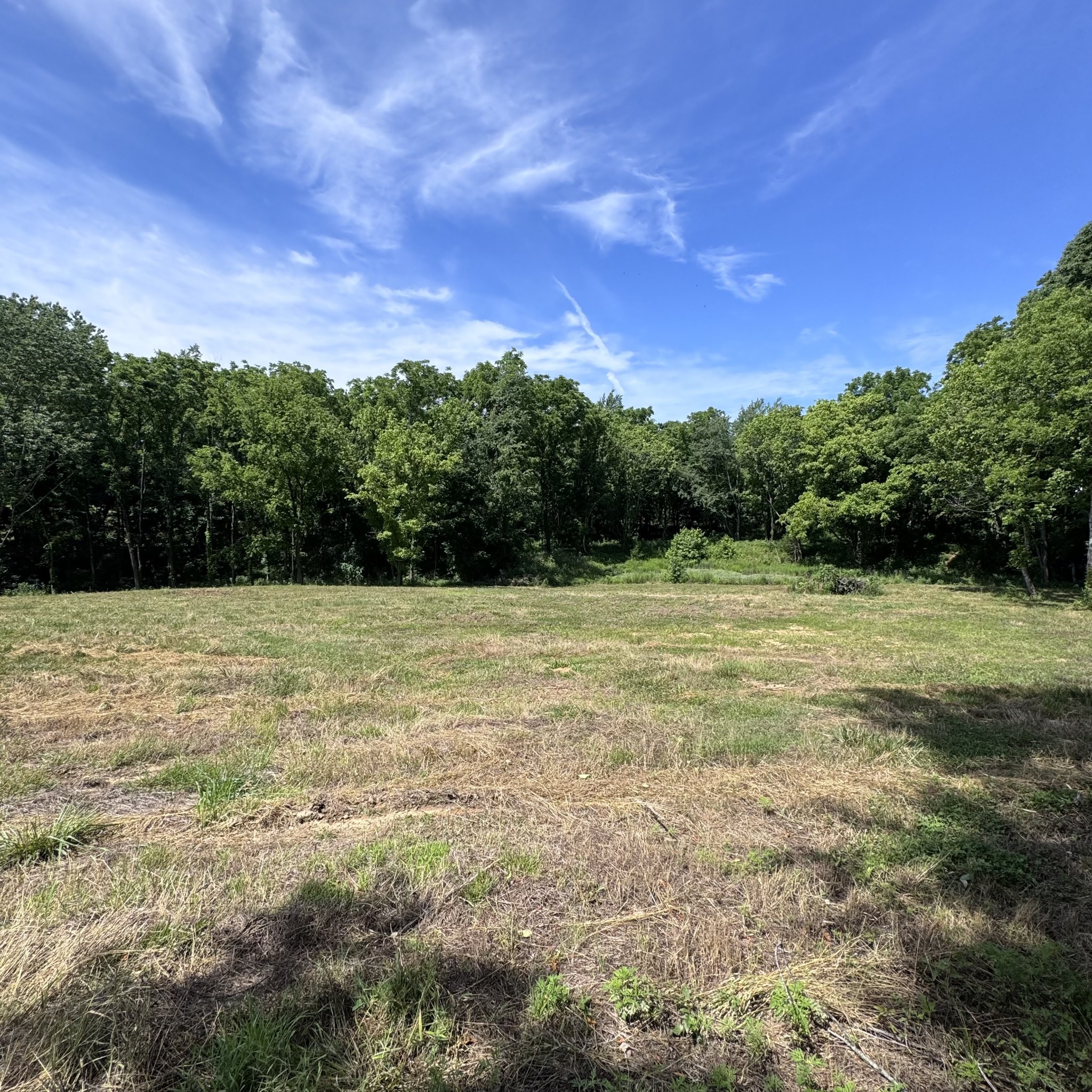 5 Poplar Ridge Ln Property Photo 14