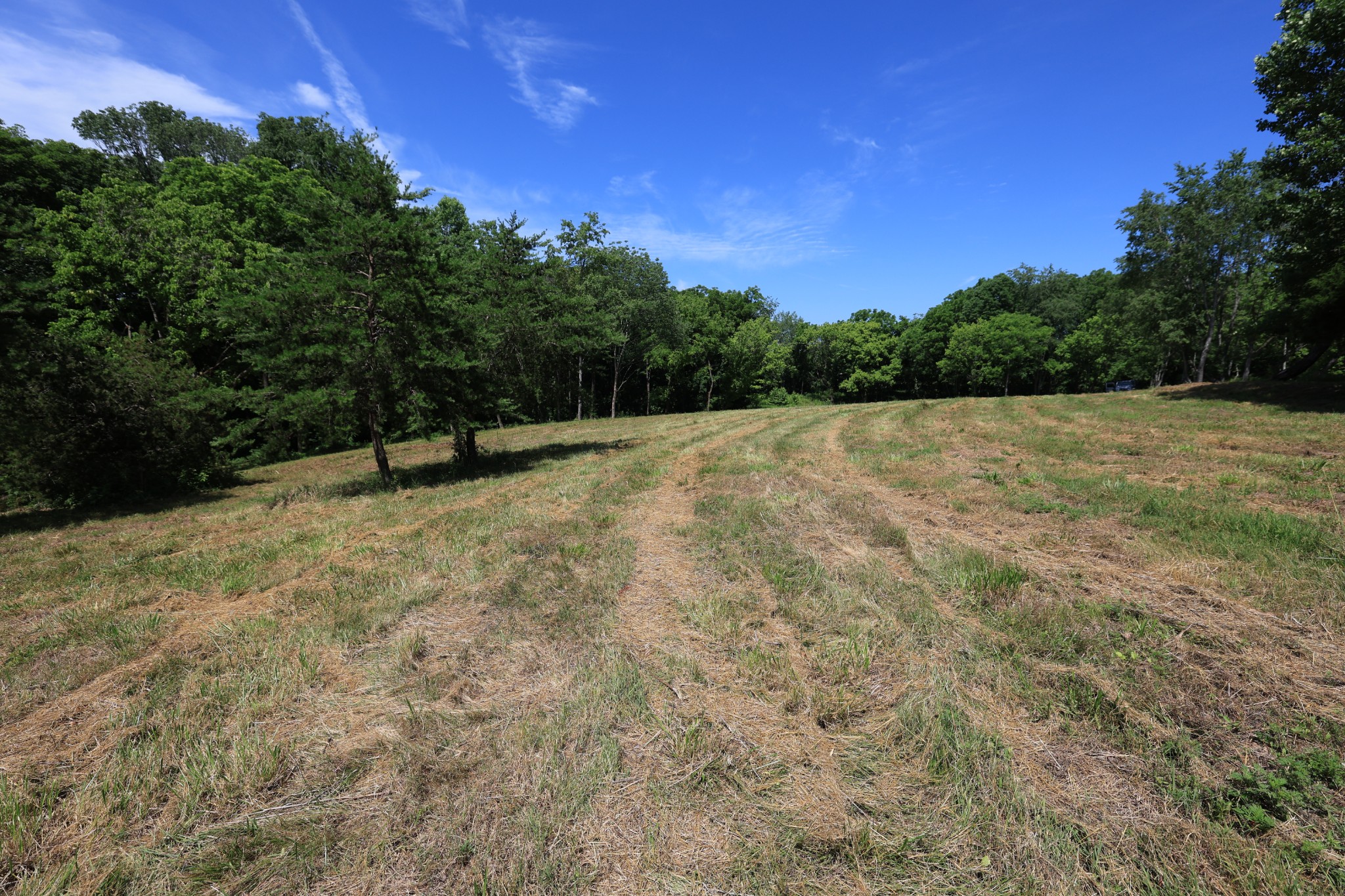 5 Poplar Ridge Ln Property Photo 15