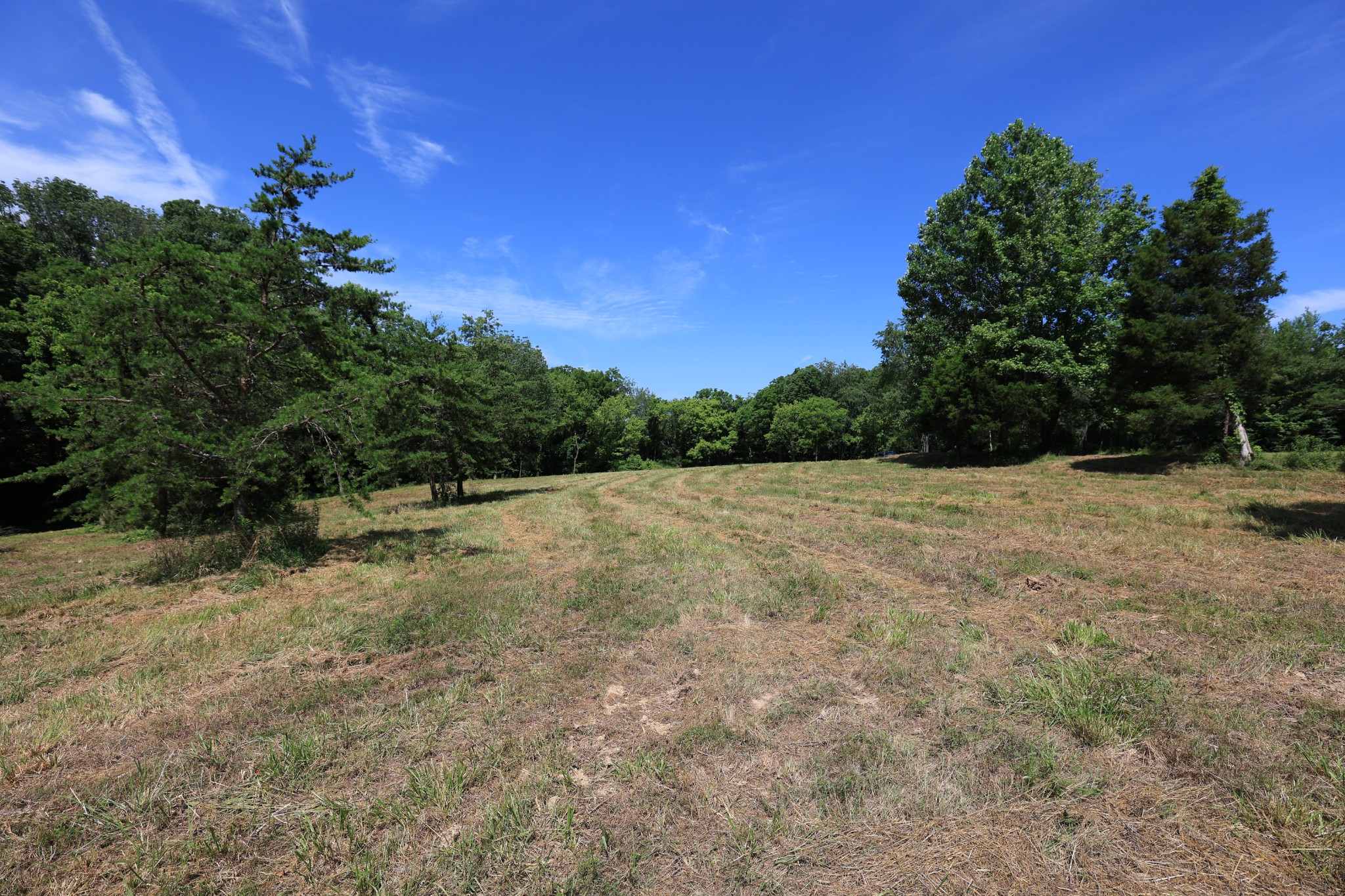 5 Poplar Ridge Ln Property Photo 16