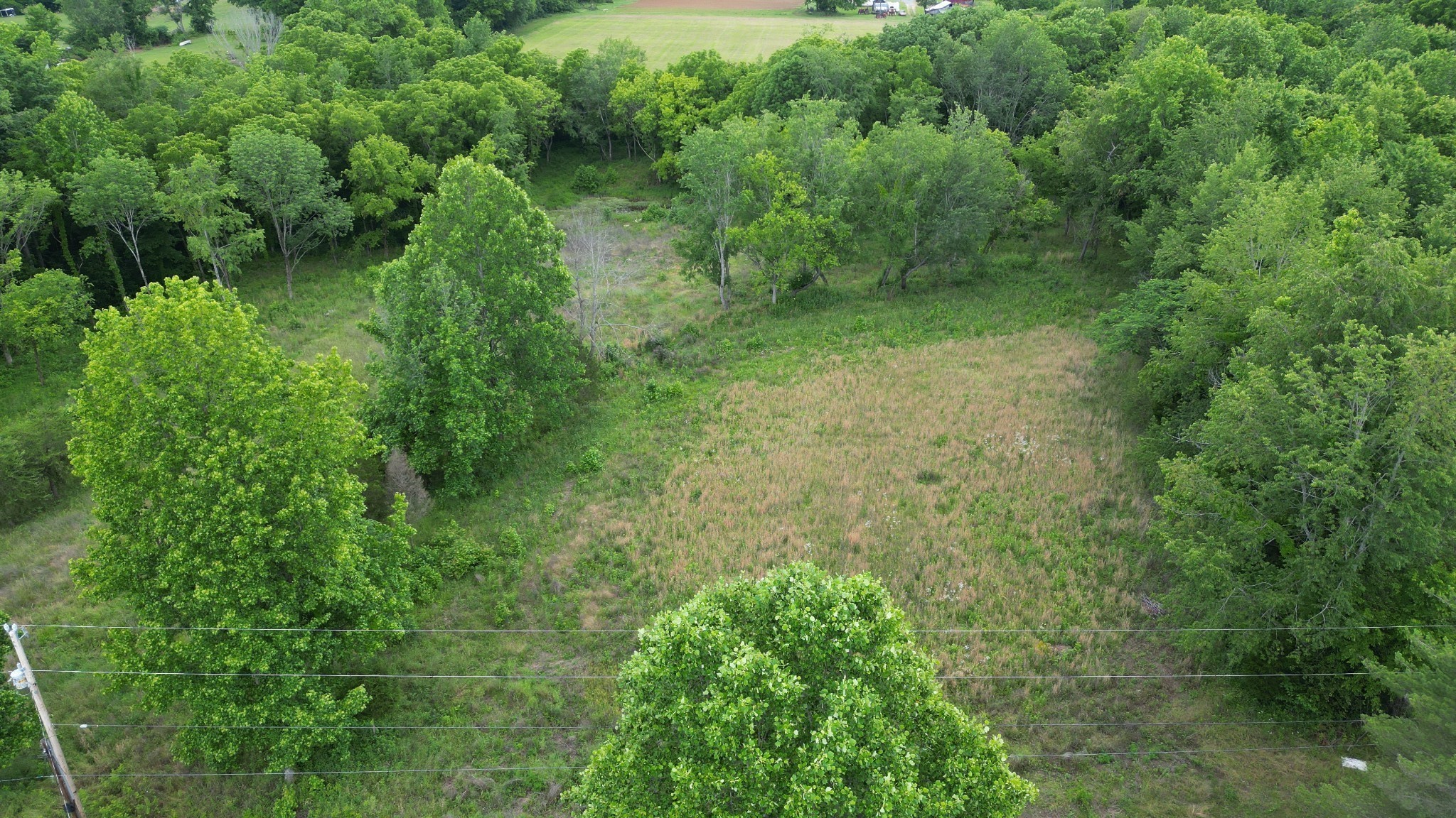 5 Poplar Ridge Ln Property Photo 17