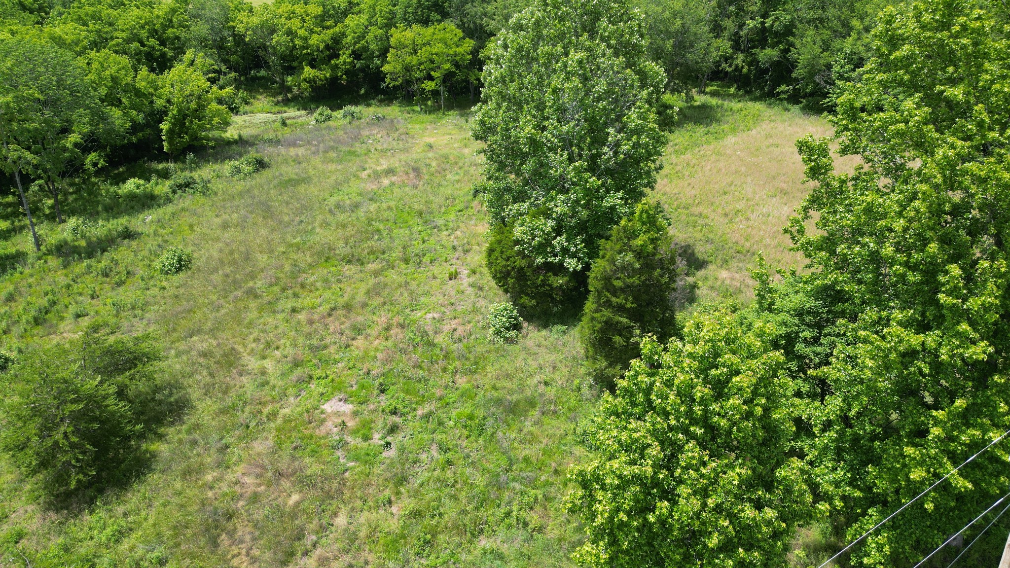 5 Poplar Ridge Ln Property Photo 18
