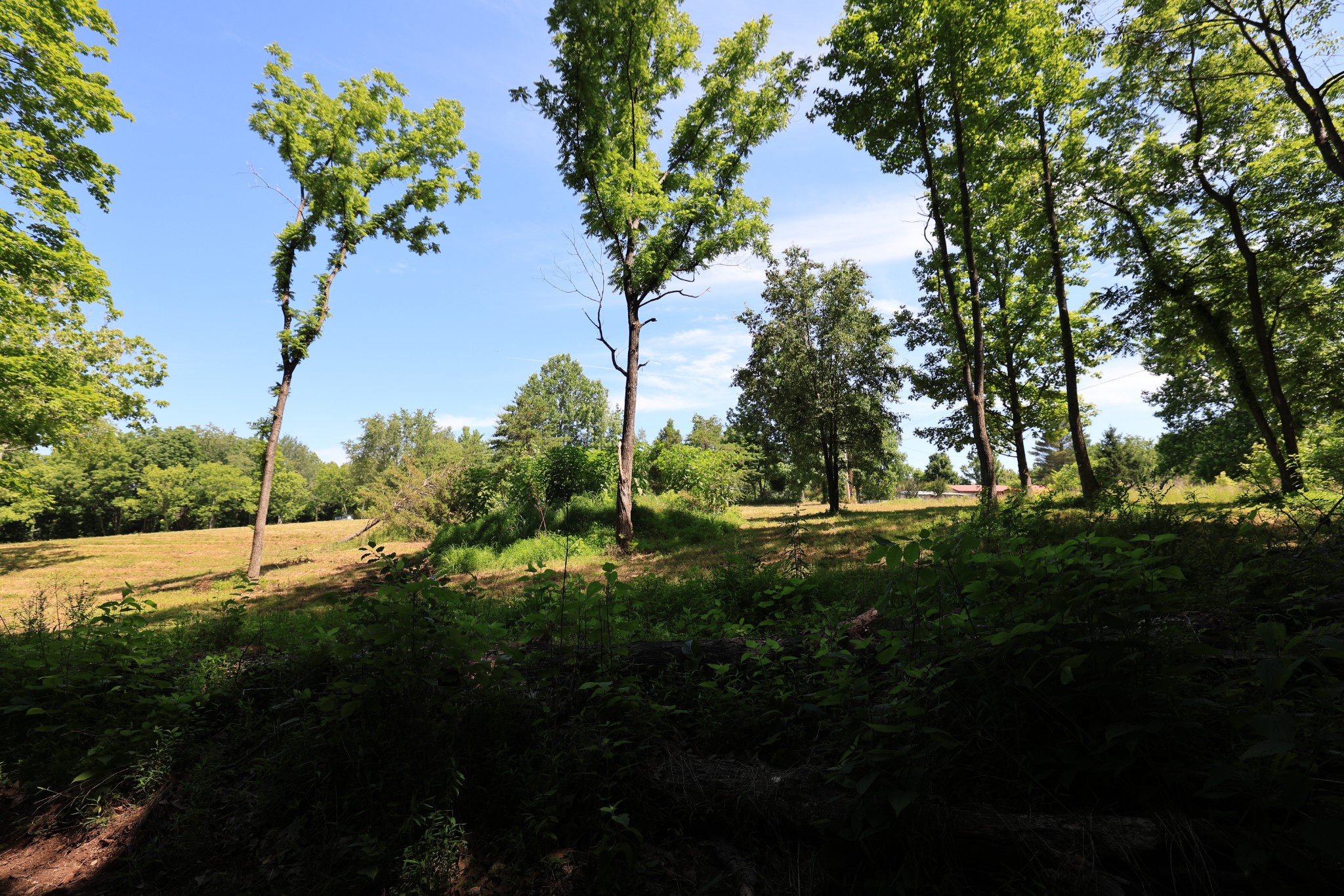 5 Poplar Ridge Ln Property Photo 19