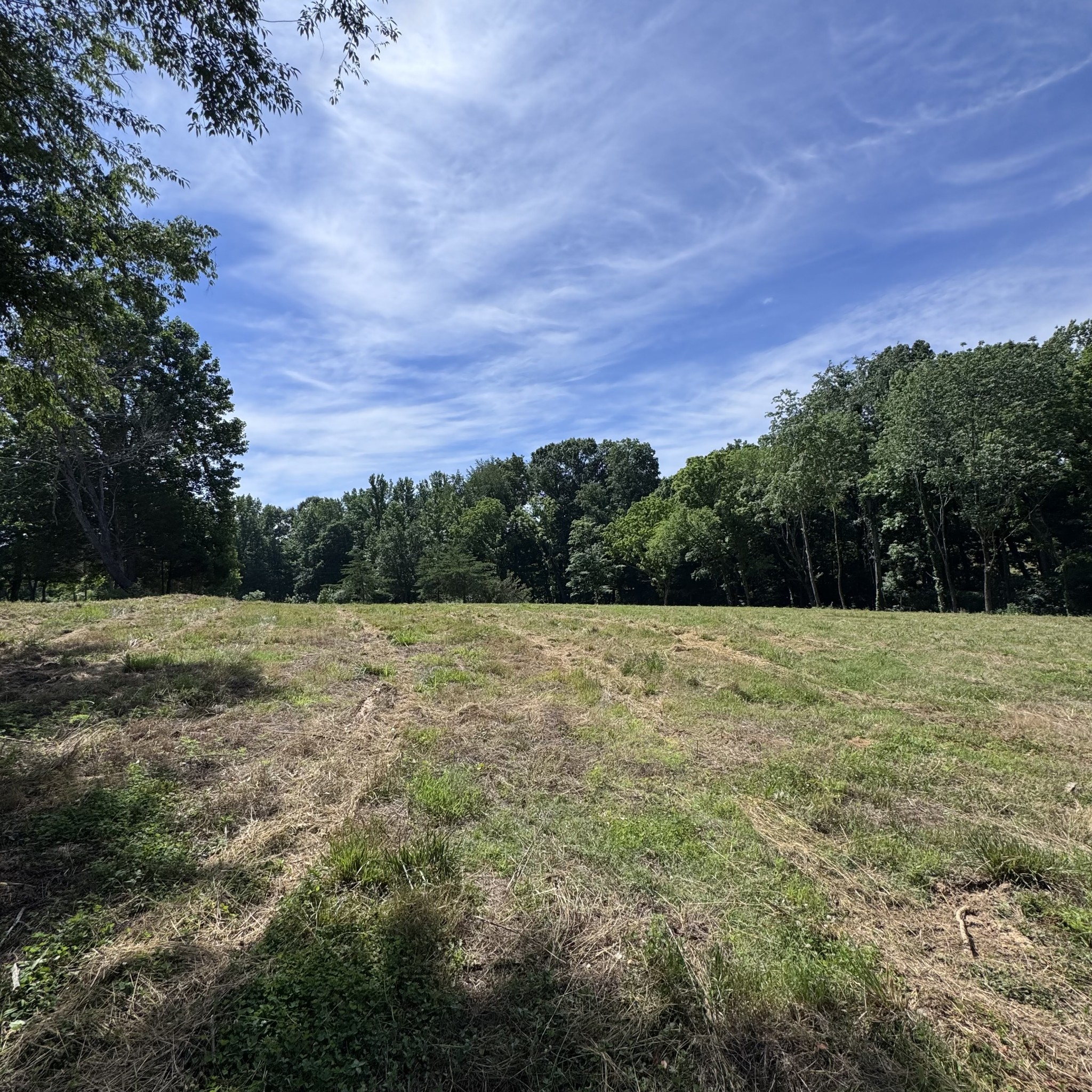 5 Poplar Ridge Ln Property Photo 21