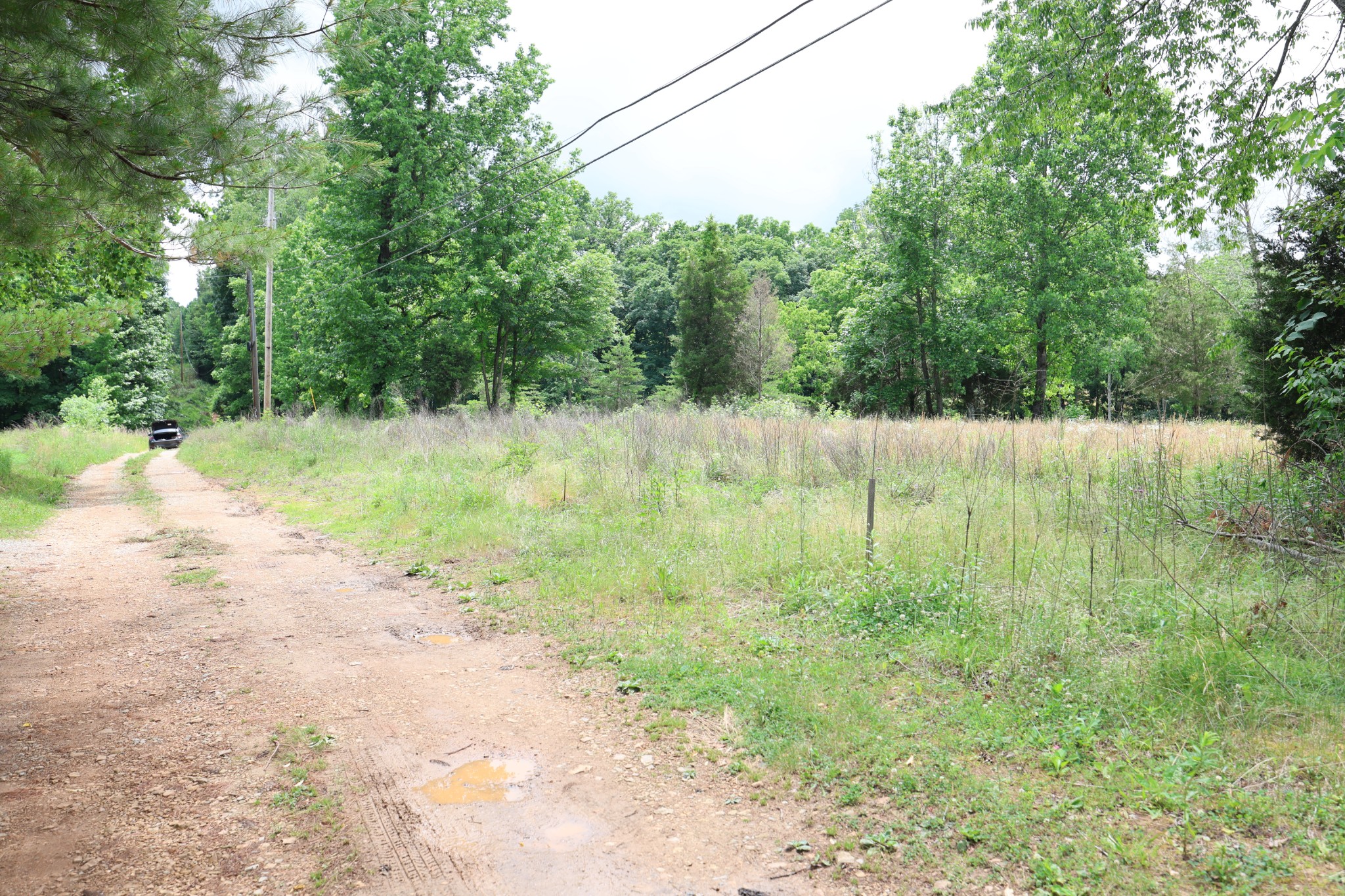 5 Poplar Ridge Ln Property Photo 23