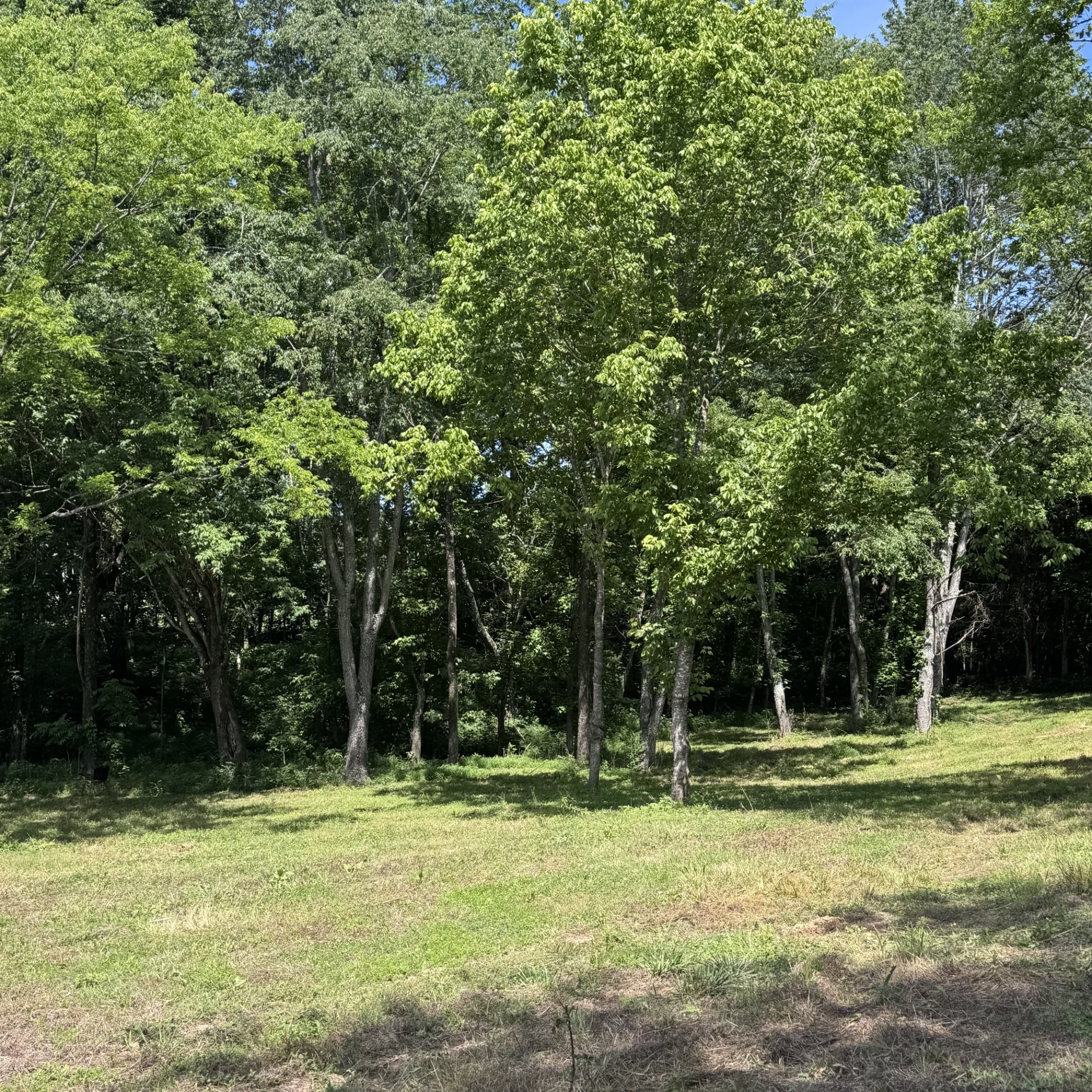 5 Poplar Ridge Ln Property Photo 24