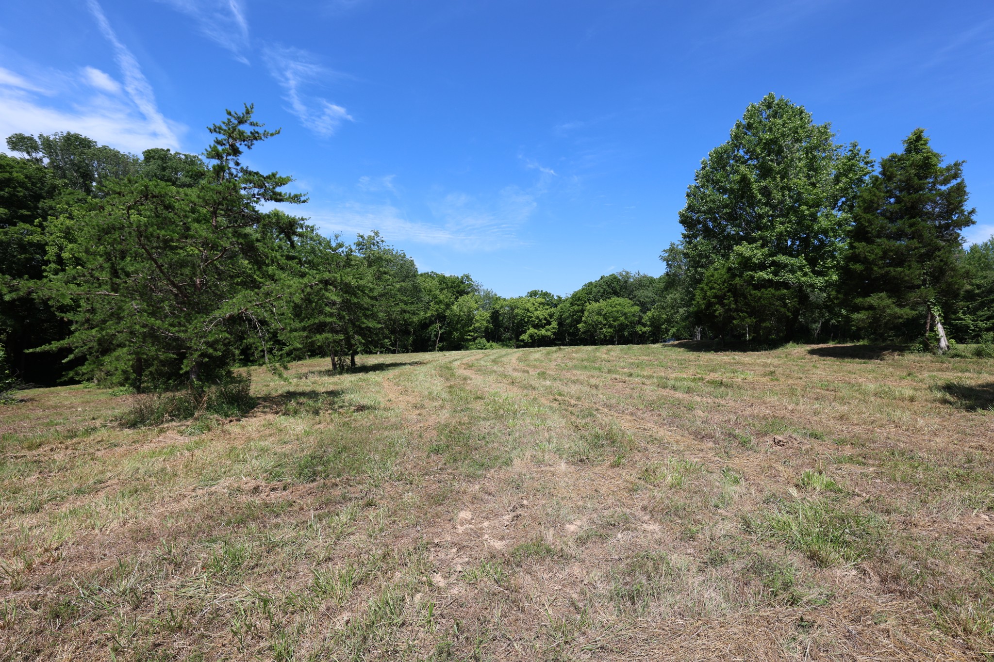 5 Poplar Ridge Ln Property Photo 25