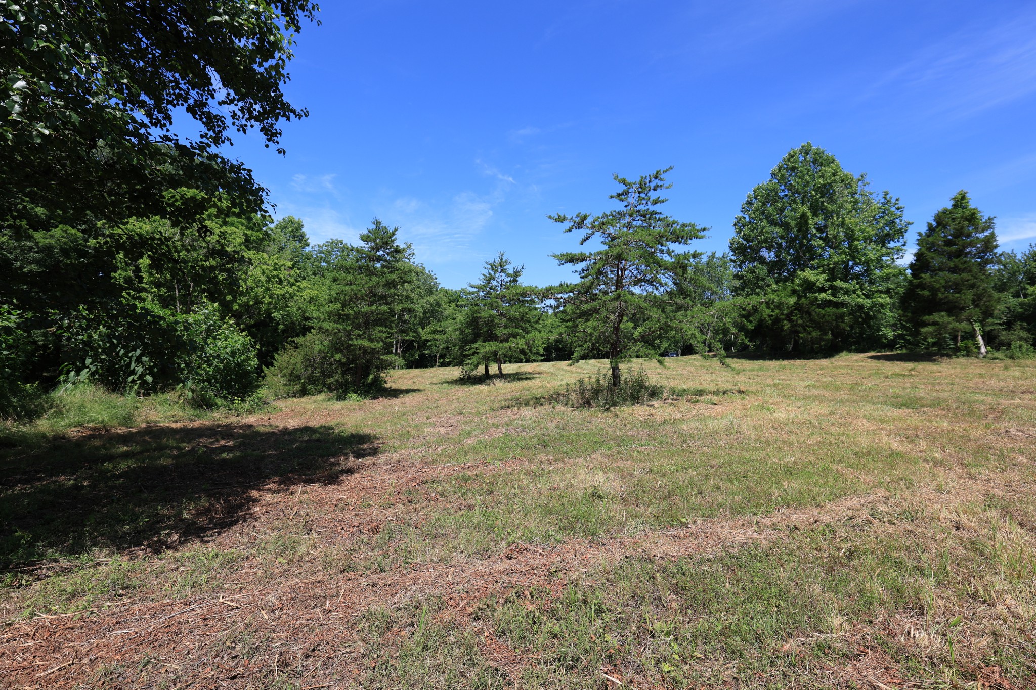 5 Poplar Ridge Ln Property Photo 26