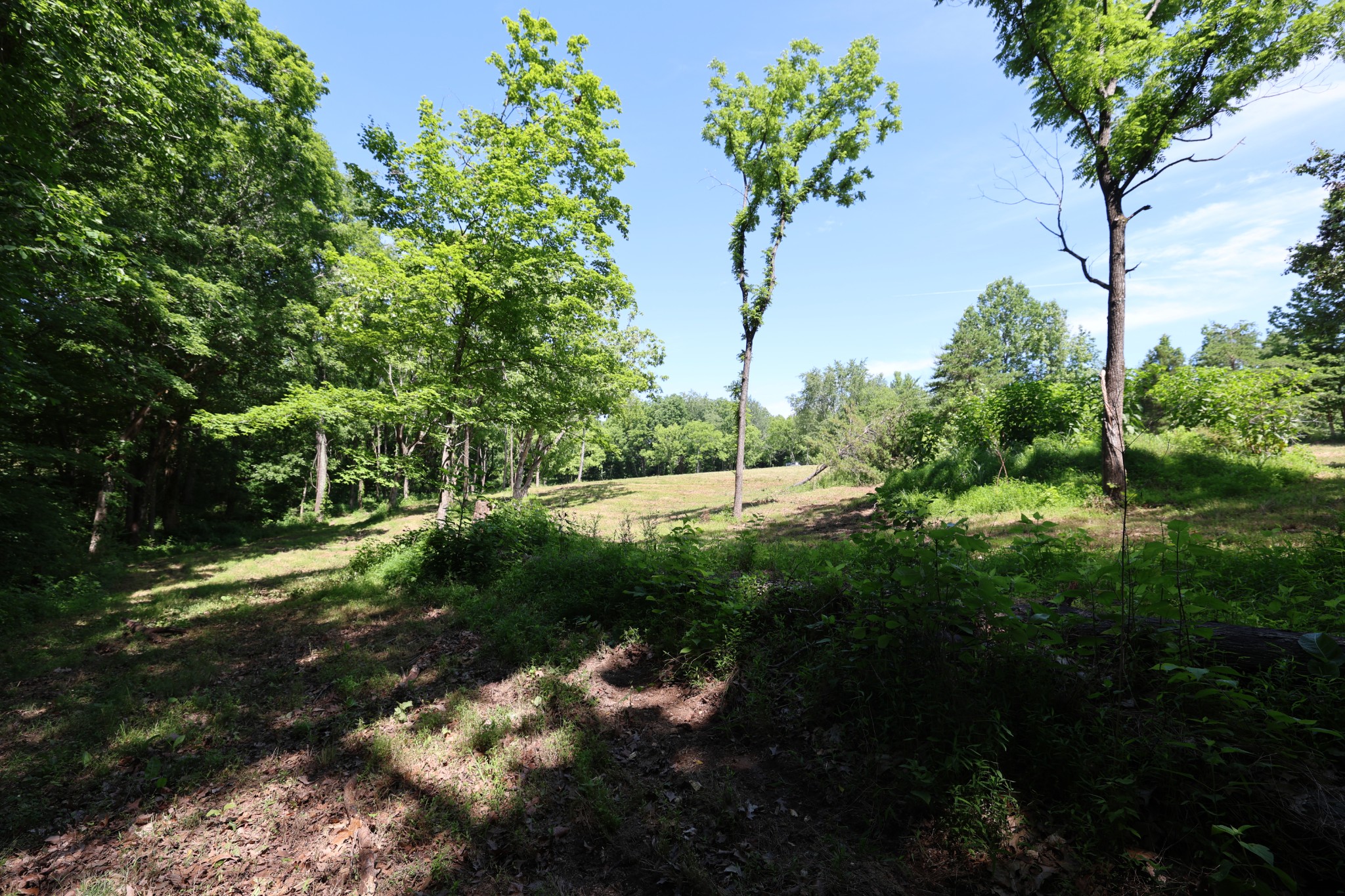 5 Poplar Ridge Ln Property Photo 28