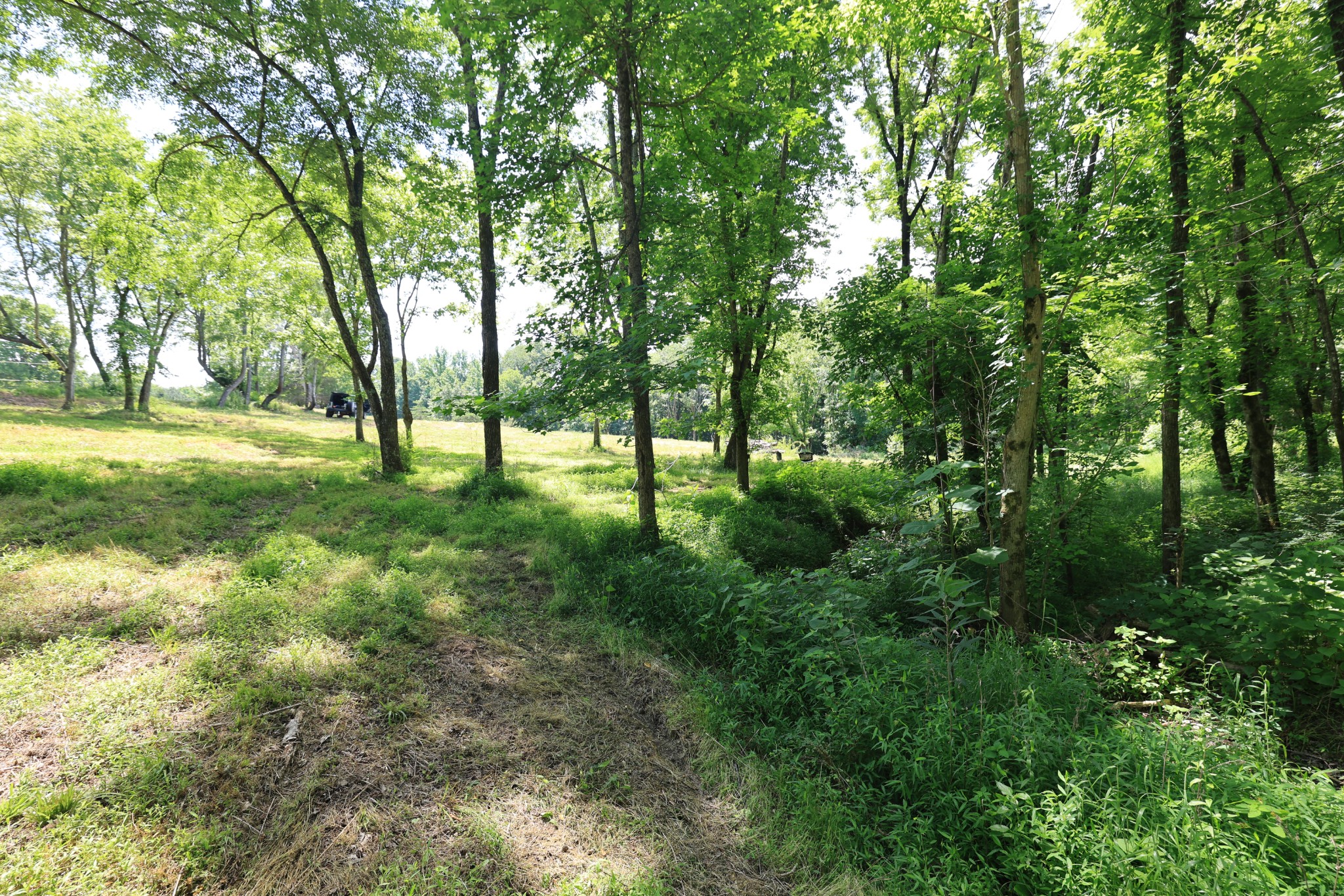 5 Poplar Ridge Ln Property Photo 29